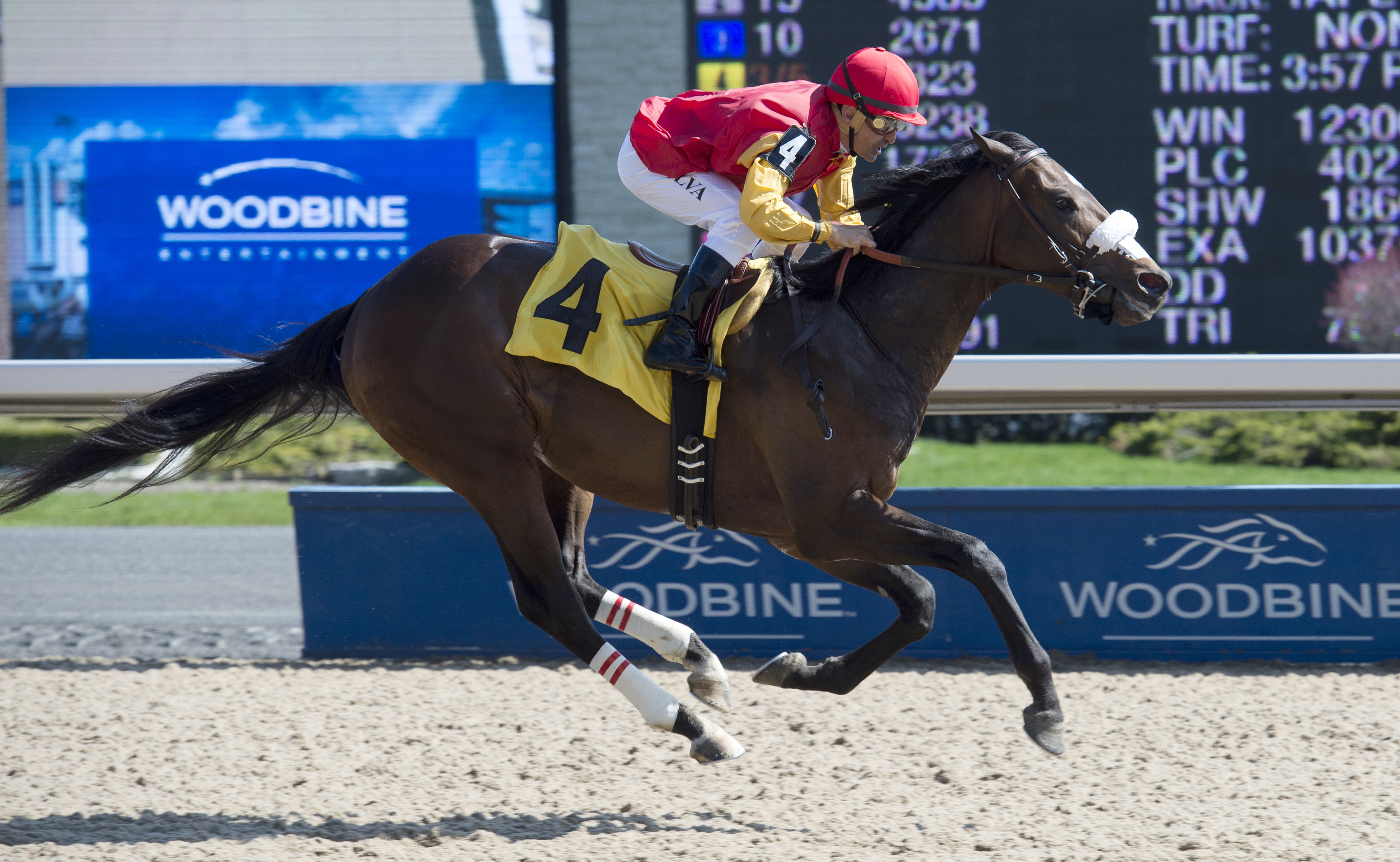 Malibu Secret wins a maiden race