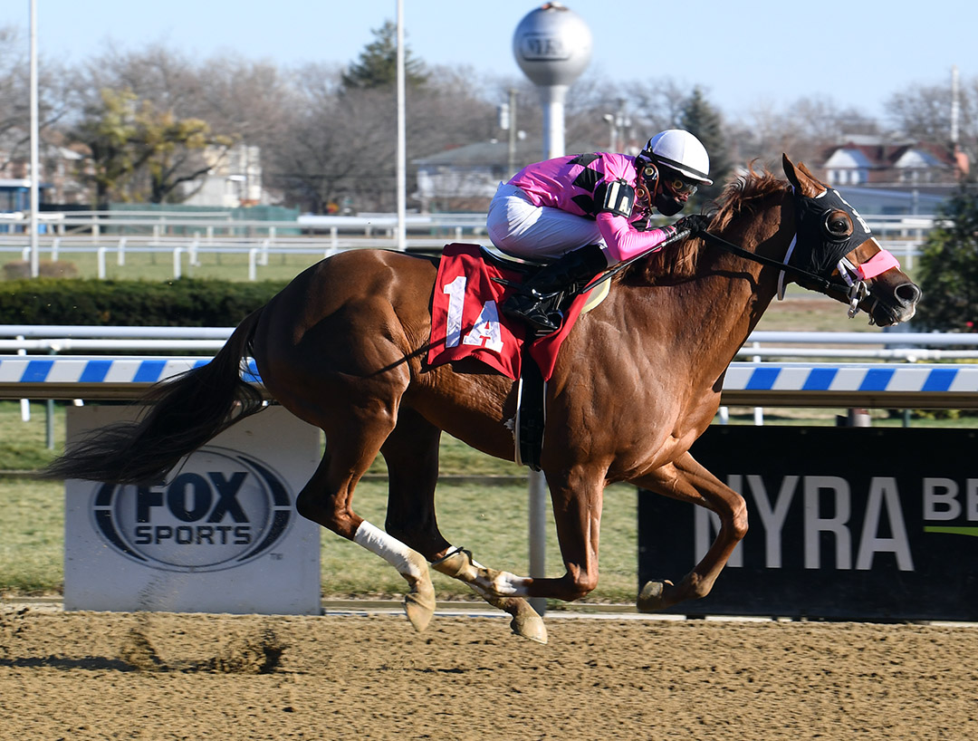 Malibu Star wins a Dec. 10 maiden race at Aqueduct