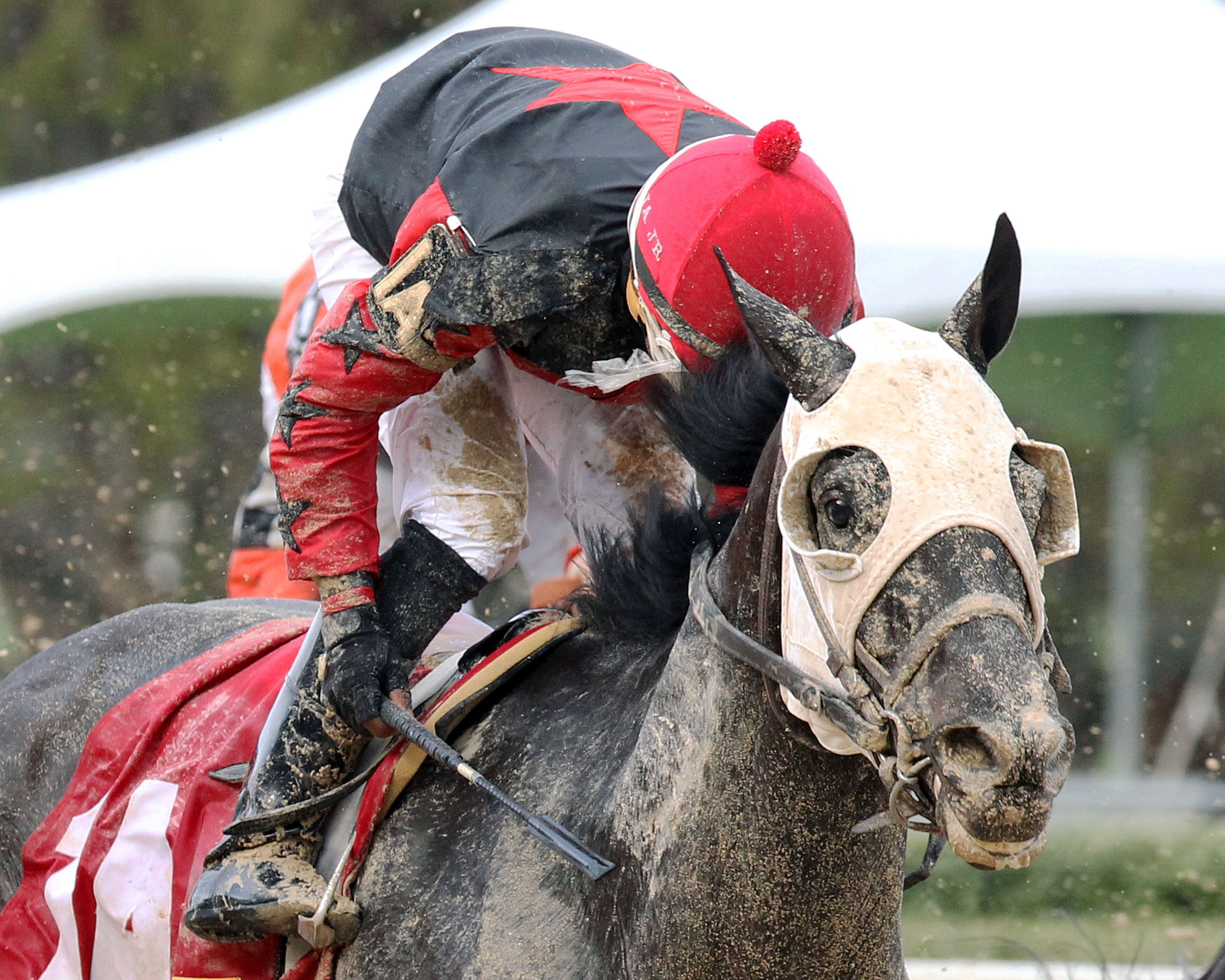 Mallard's Bro wins the Arkansas Breeders' Stakes