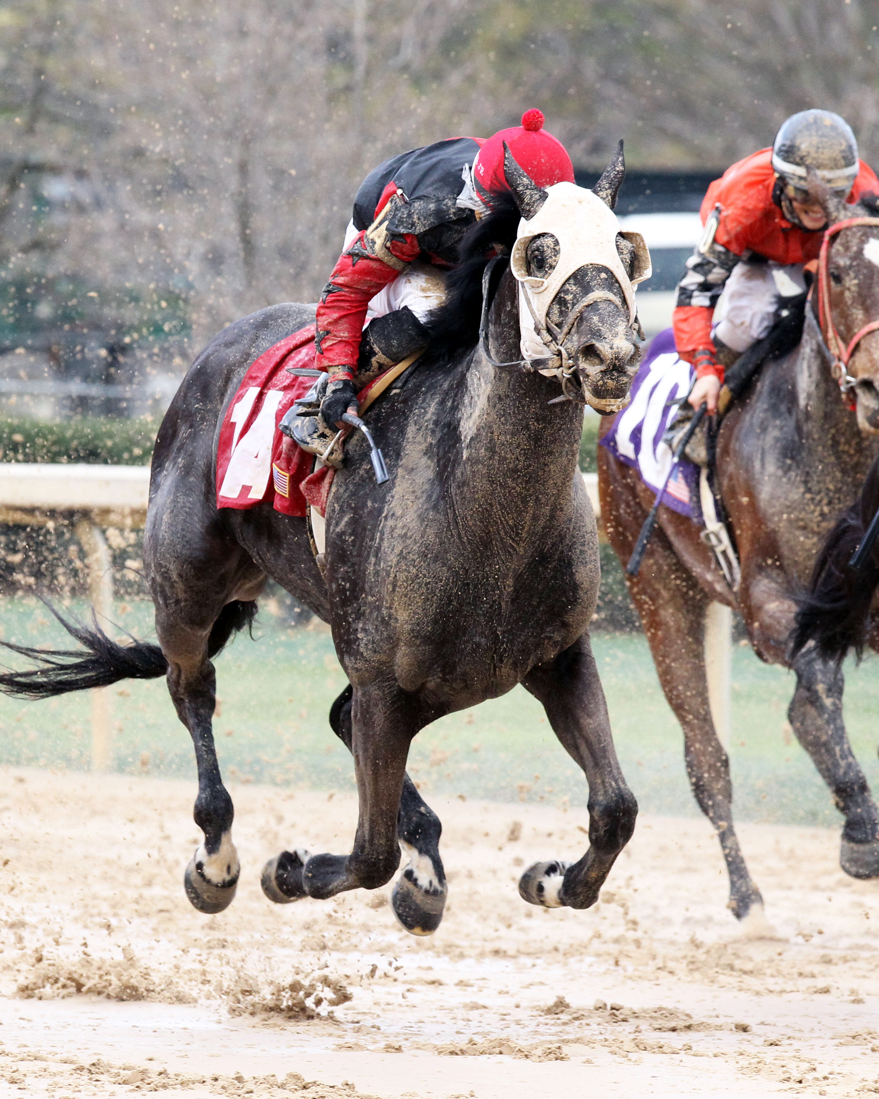 Mallard's Bro wins the Arkansas Breeders' Stakes