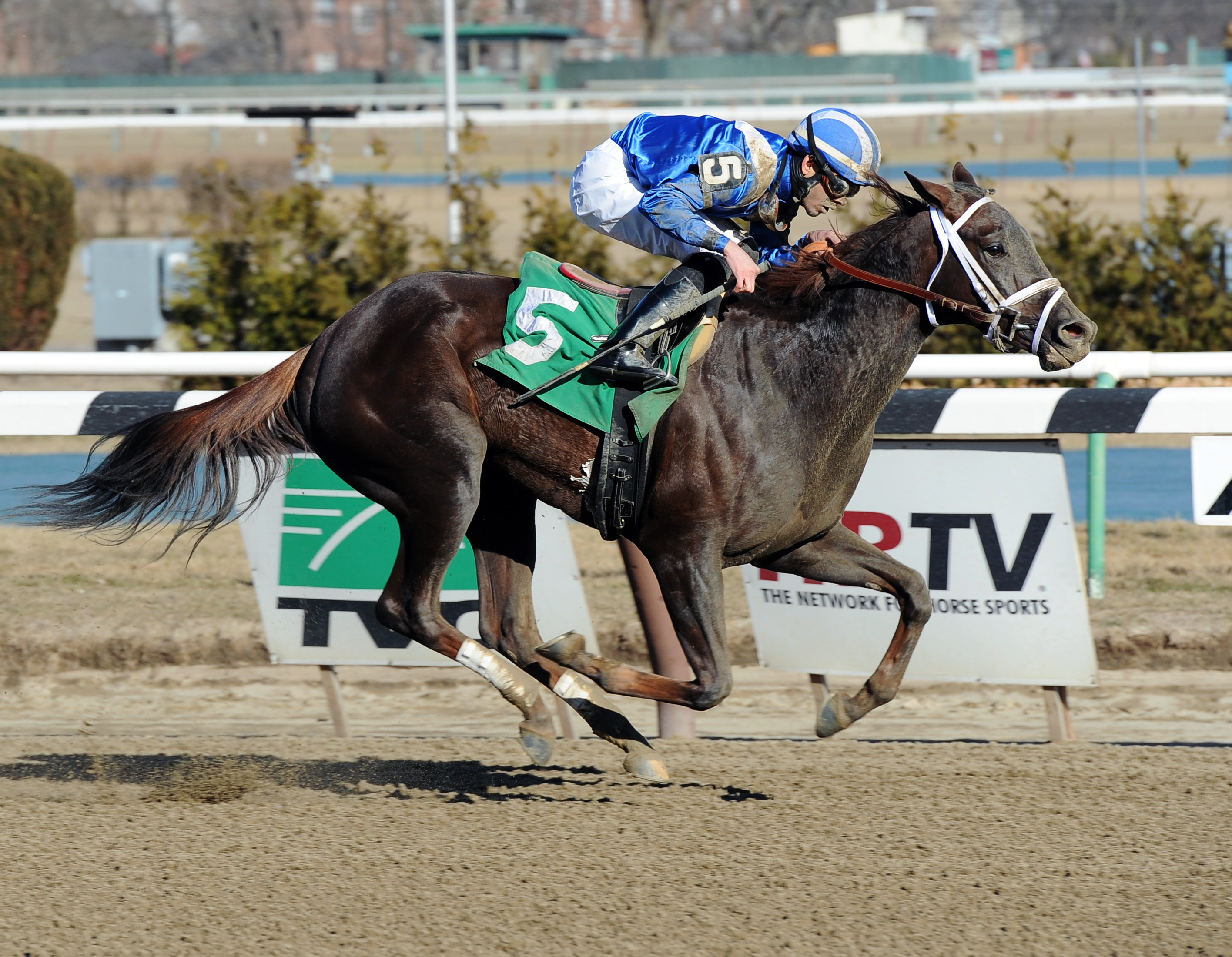 Mamdooha wins the 2014 Cicada Stakes