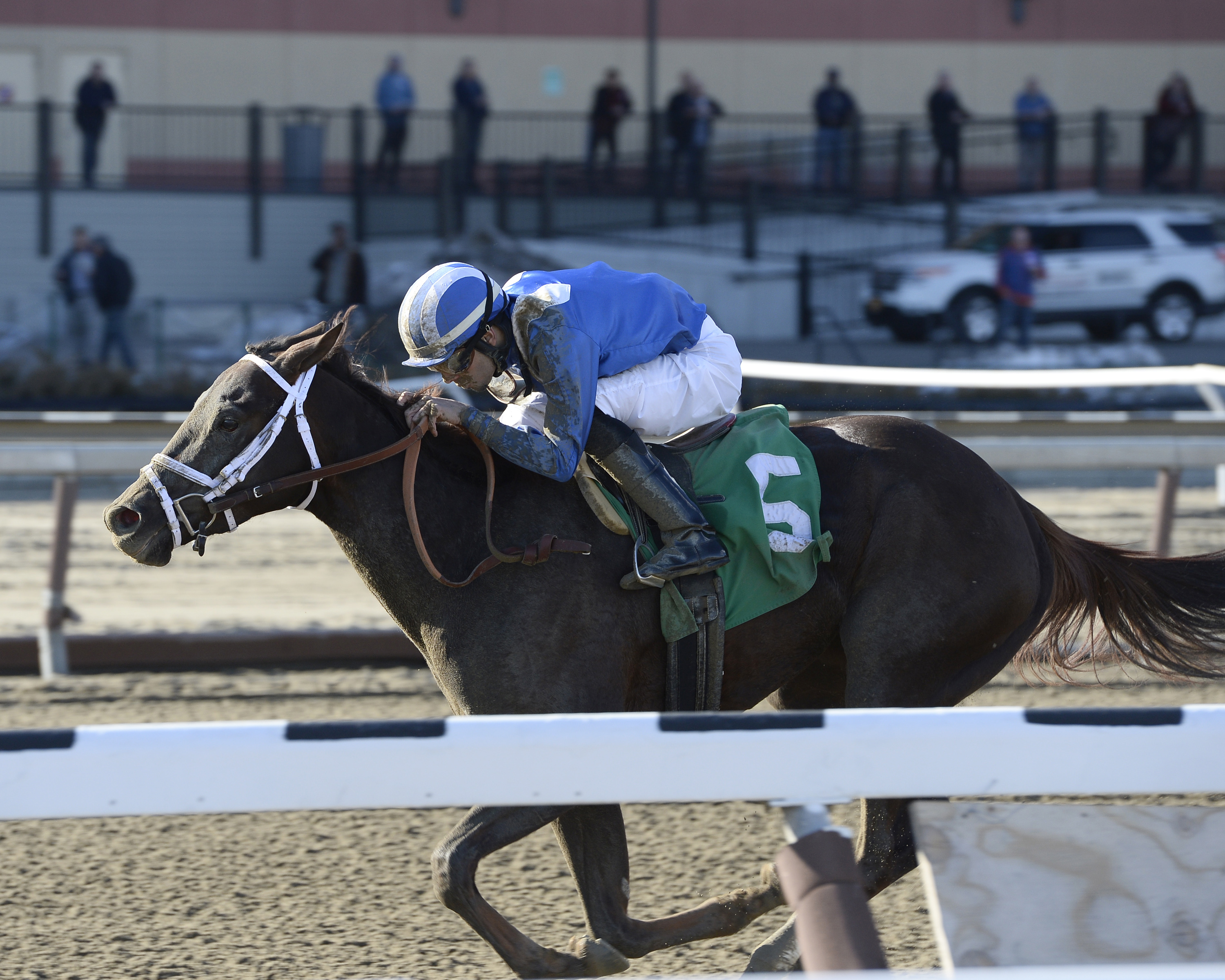 Mamdooha wins the Cicada Stakes