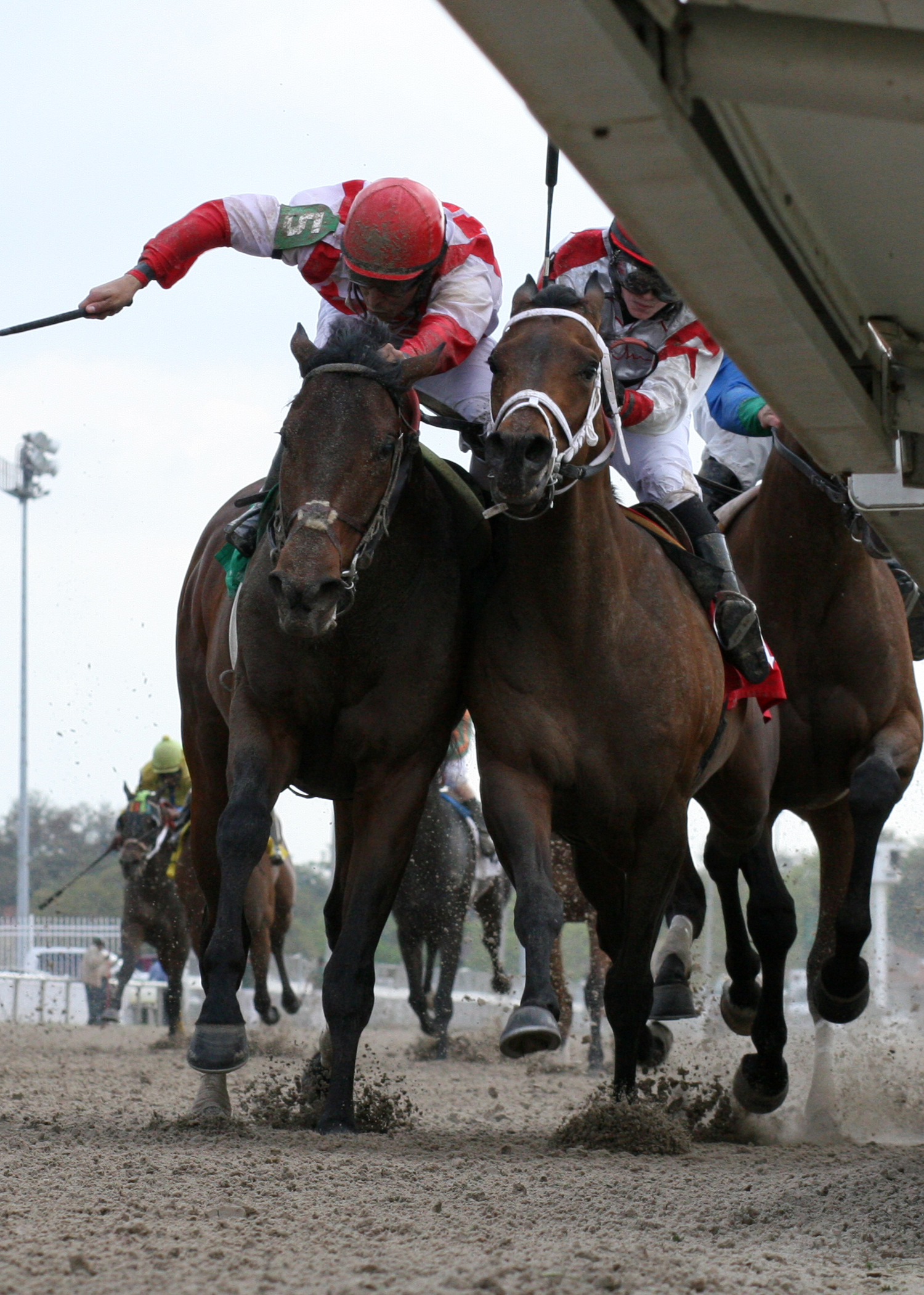 Populist Politics/Man of Strife/Crescent City Derby