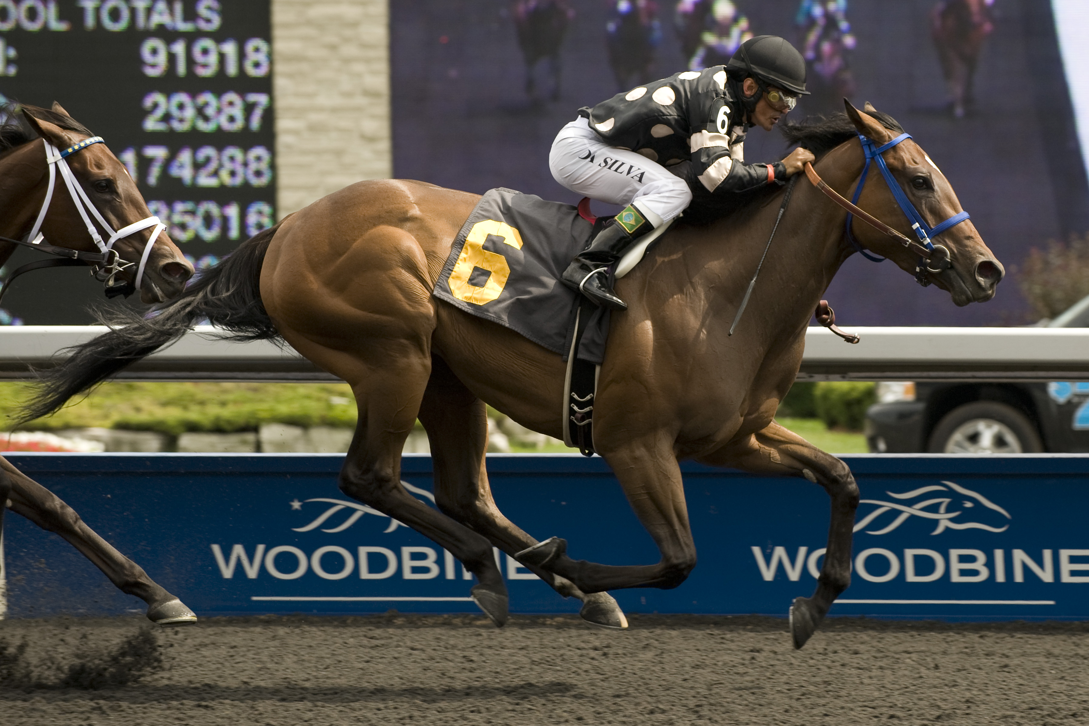 Man Stuff, Sweet Briar Too Stakes