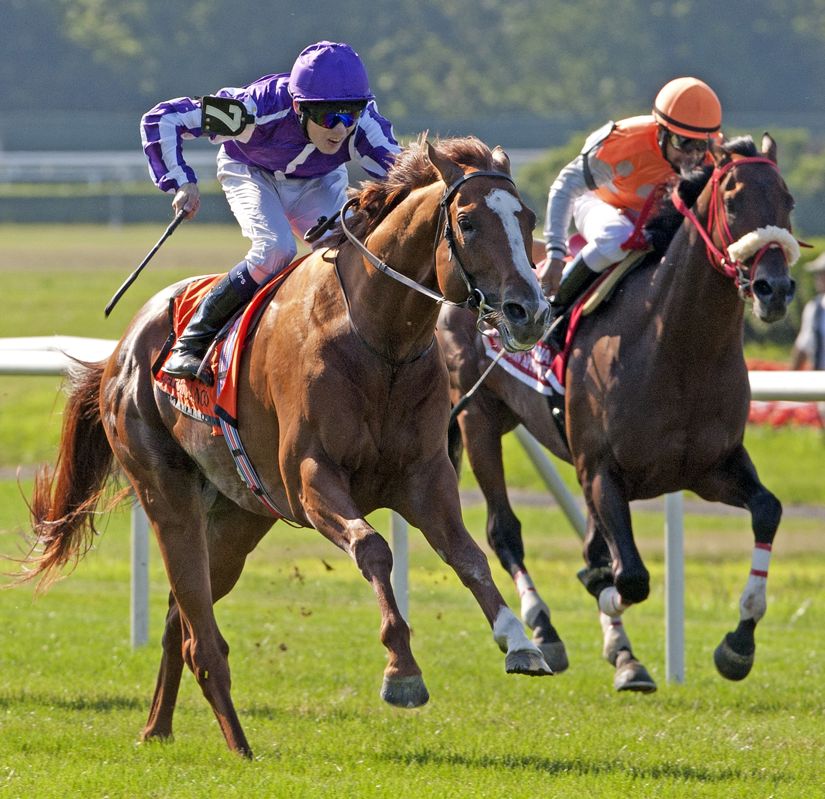 Cape Blanco/Man o' War