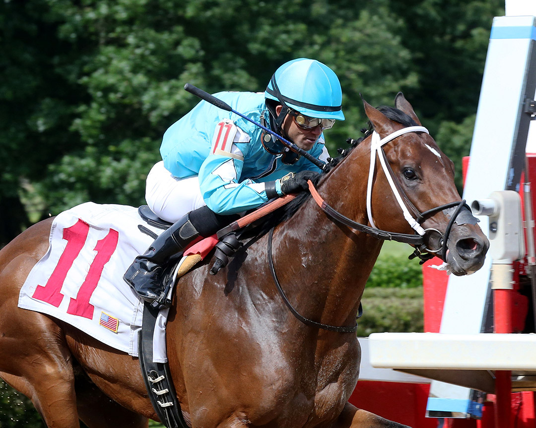 Man in the Can wins the 2020 Arkansas Breeders' Championship at Oaklawn Park