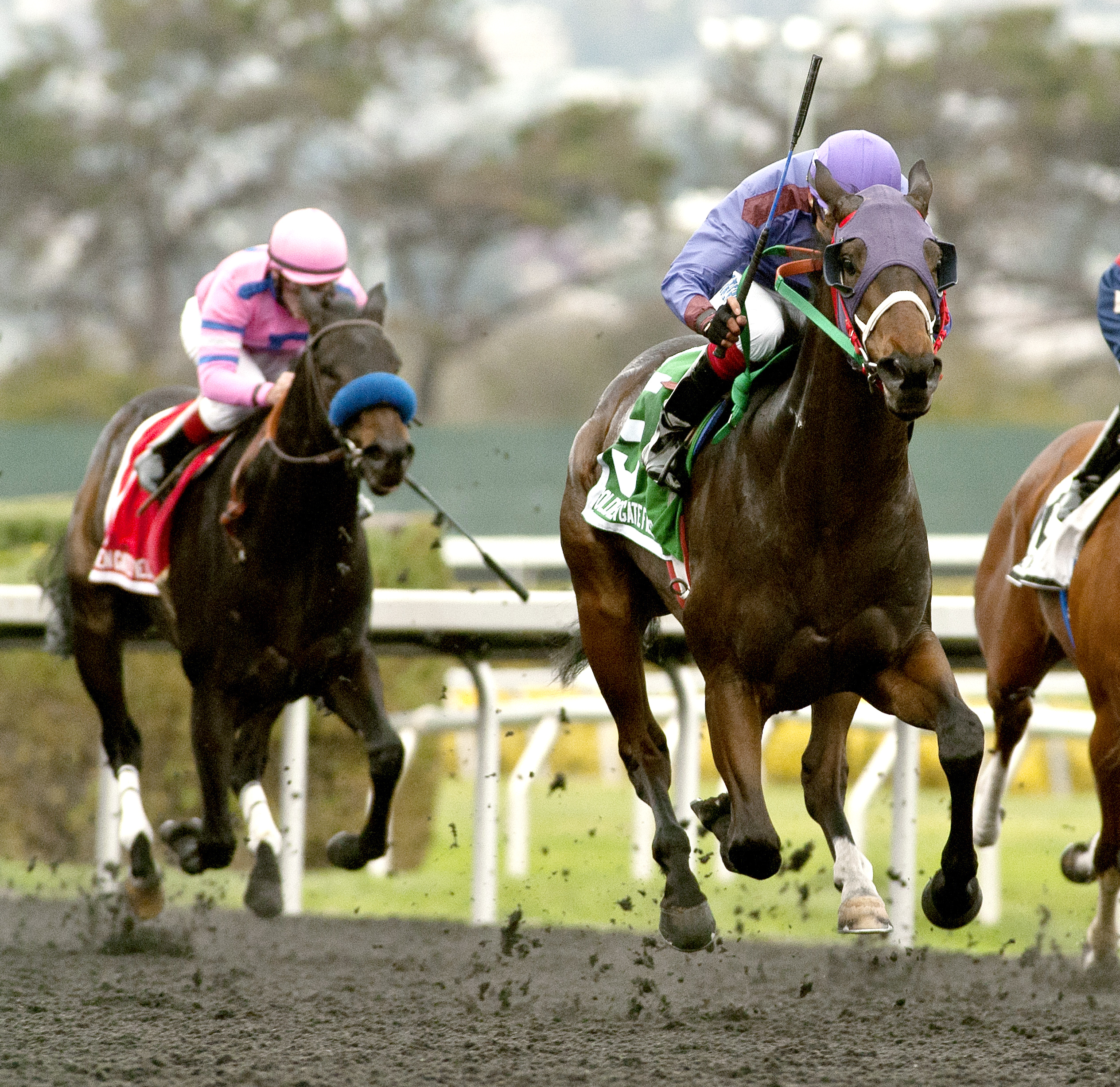 Mana Strike wins the Gold Rush Stakes