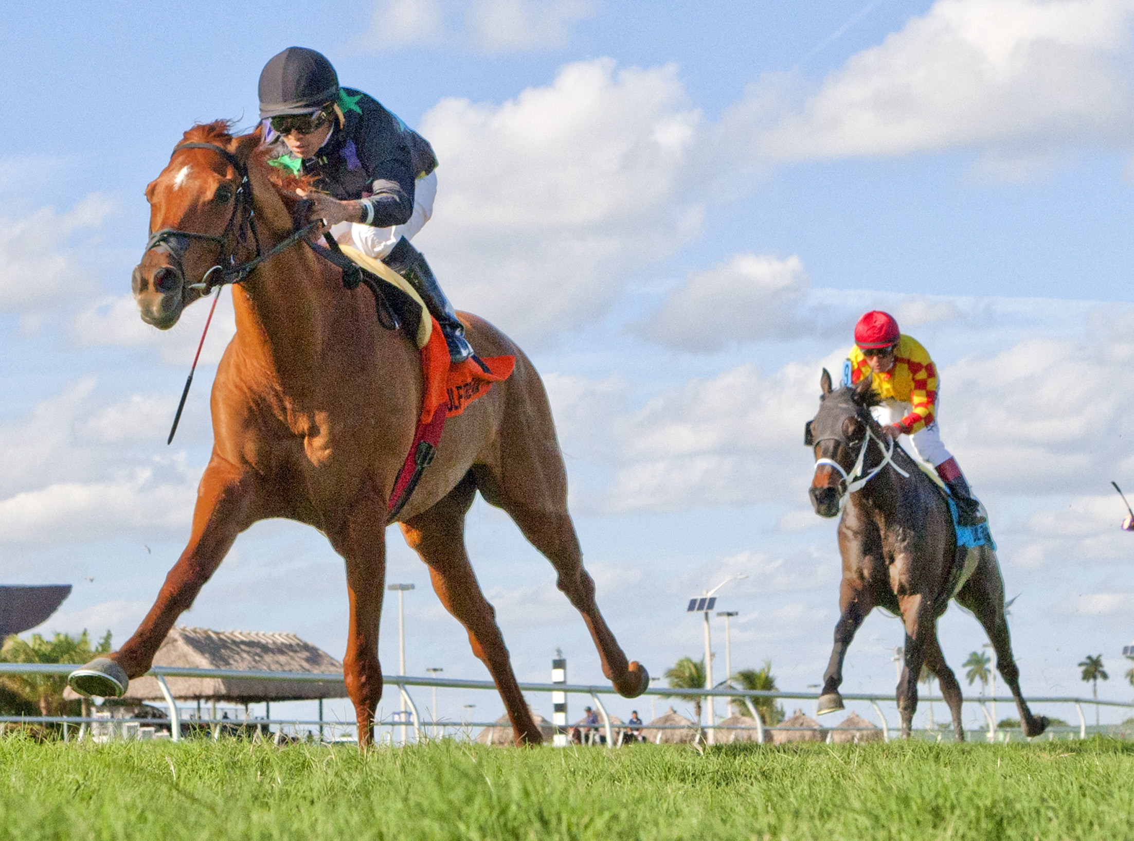 Manchurian High wins 2015 Sunshine Millions Turf