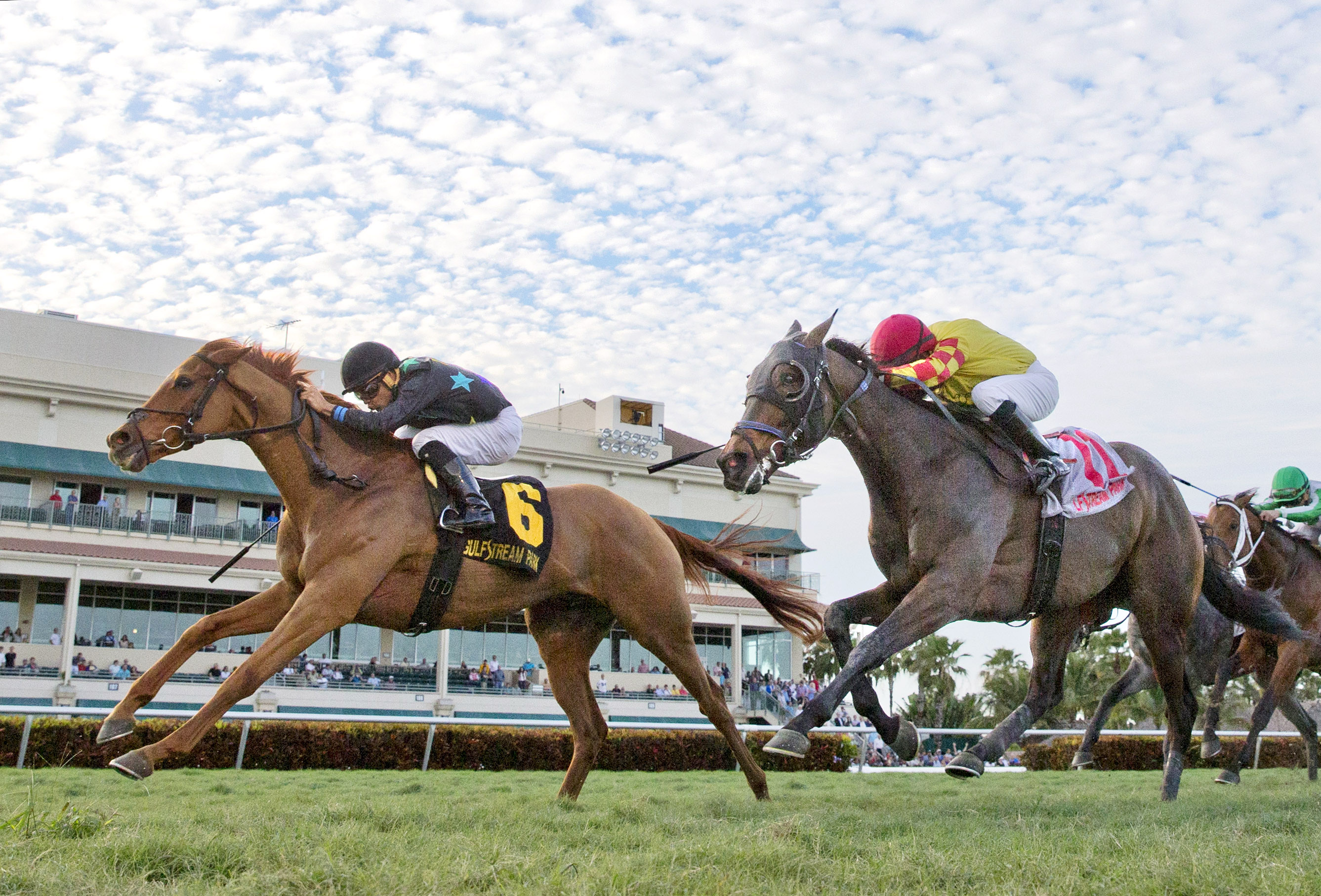 Manchurian High