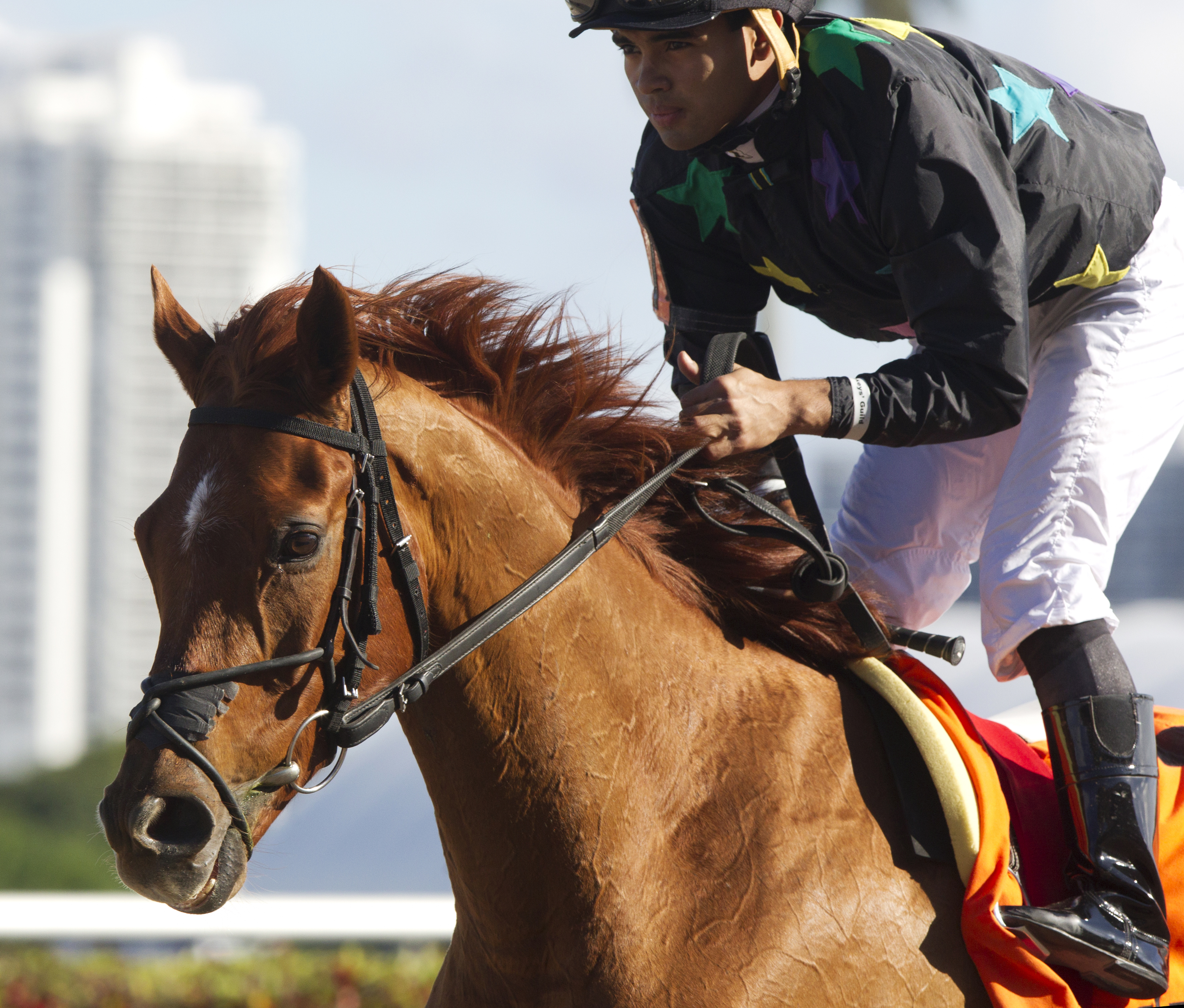 Manchurian High