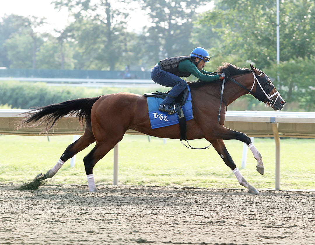 Mandaloun trains at Monmouth Park on July 14