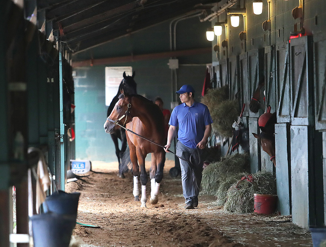 Mandaloun with assistant trainer Blake Cox at Monmouth Park on June 12