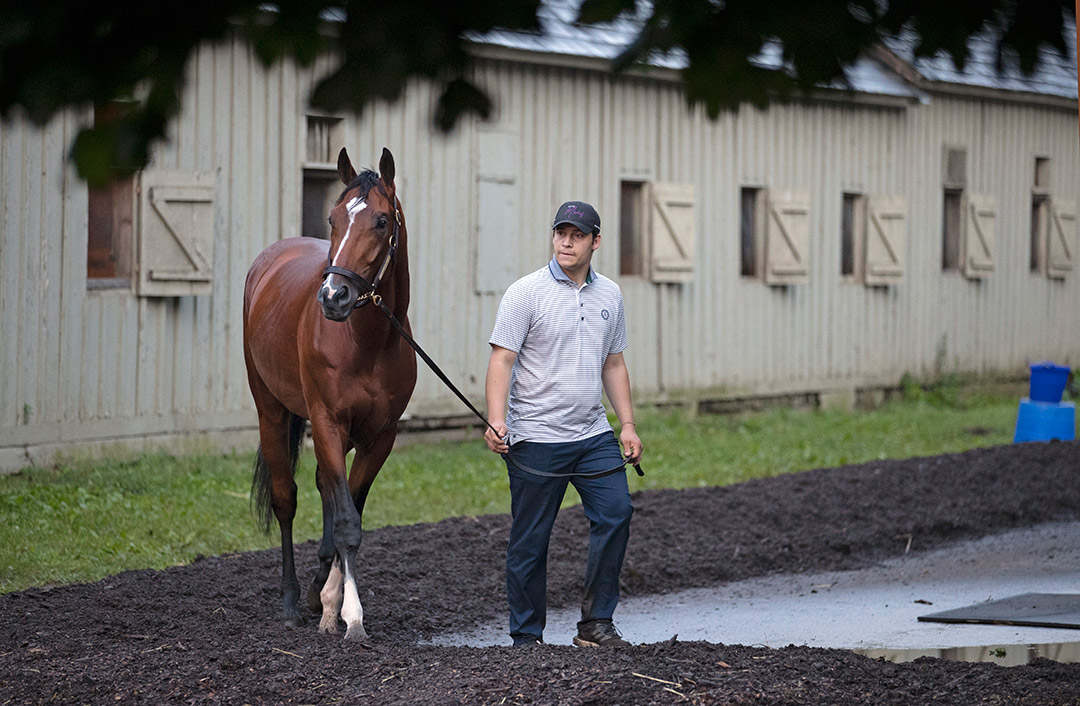 Mandaloun at Saratoga Race Course in July 2021