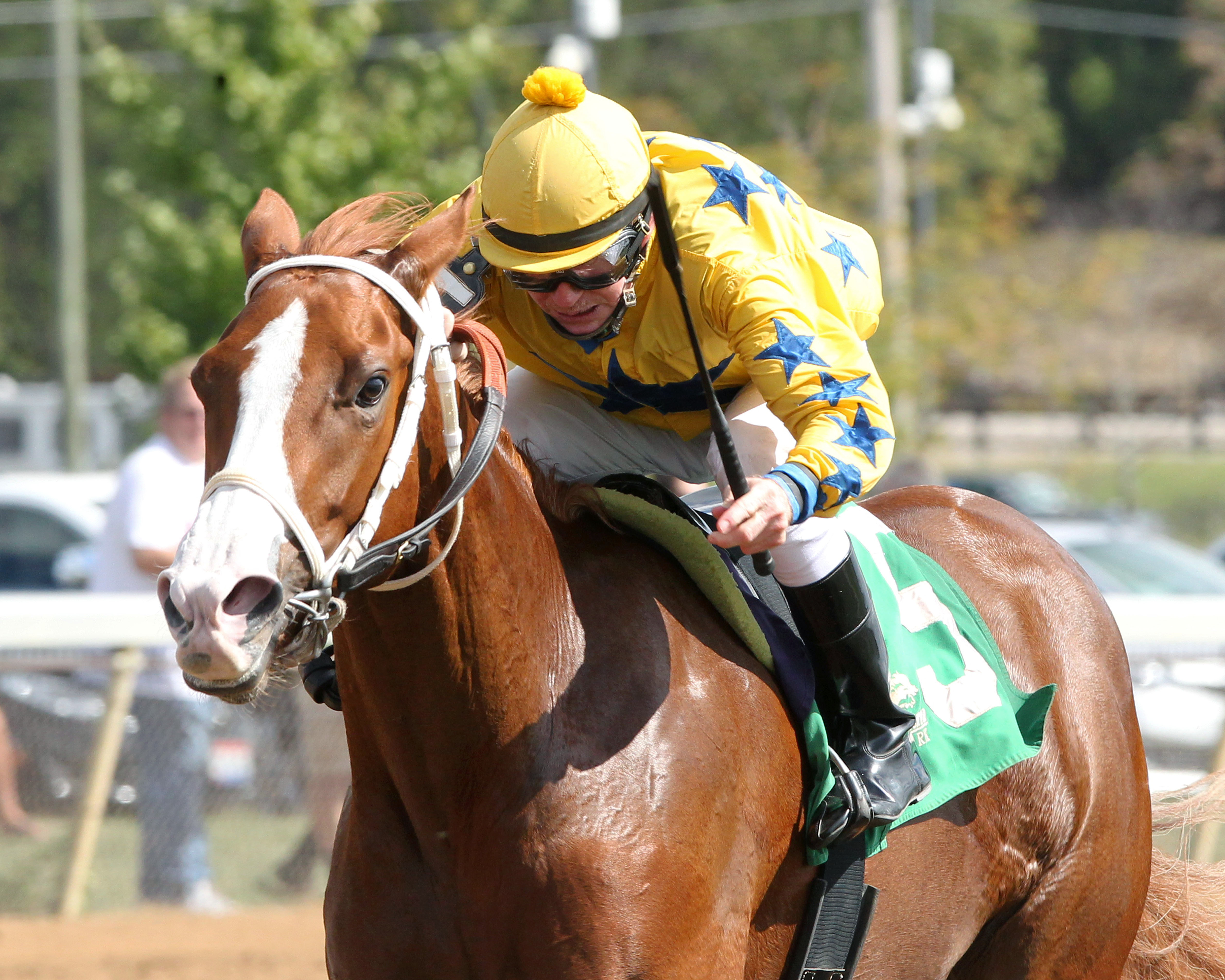 Mandis Pride wins an Oct. 7 maiden race