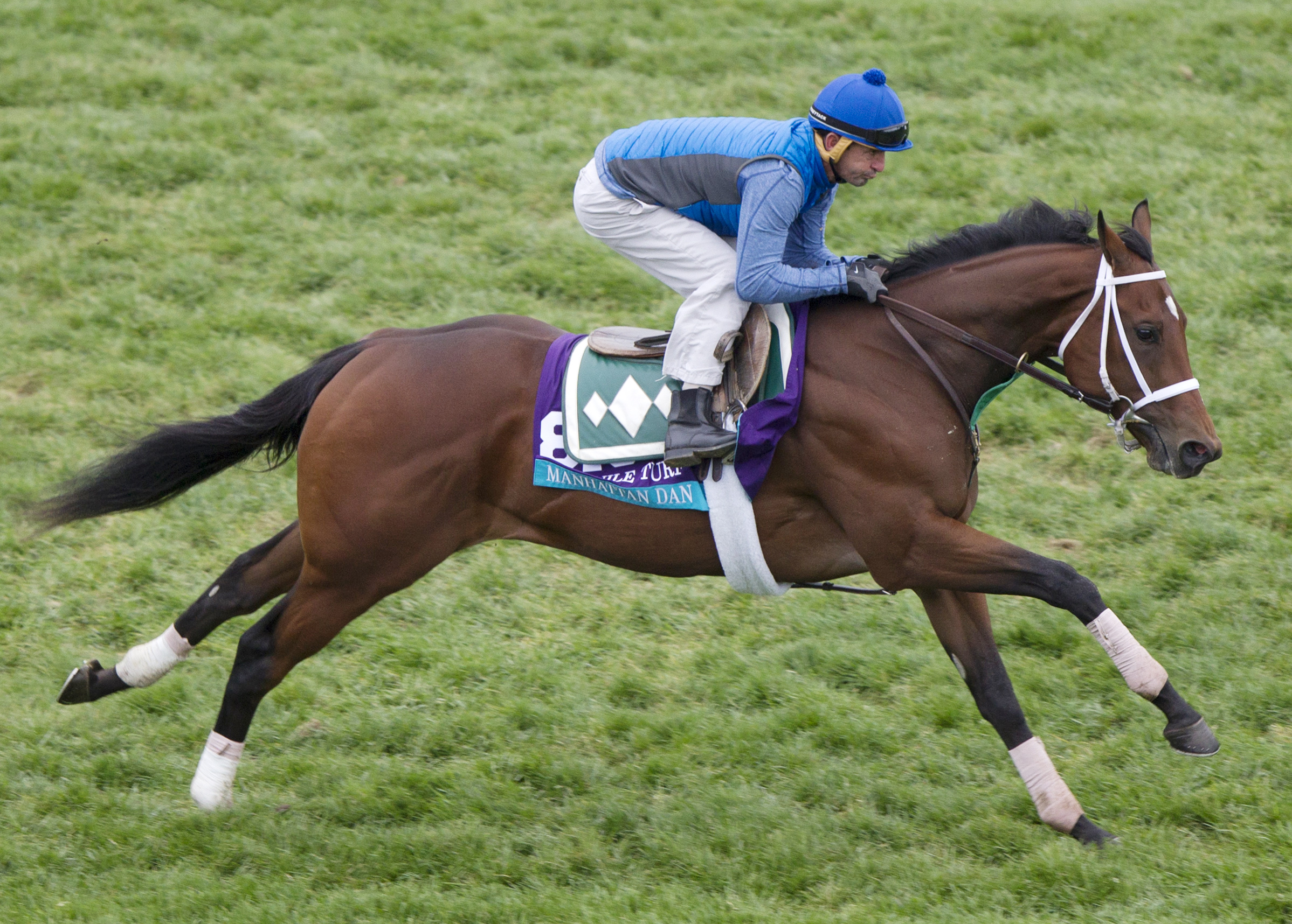 Manhattan Dan trains at Keeneland on Oct. 26