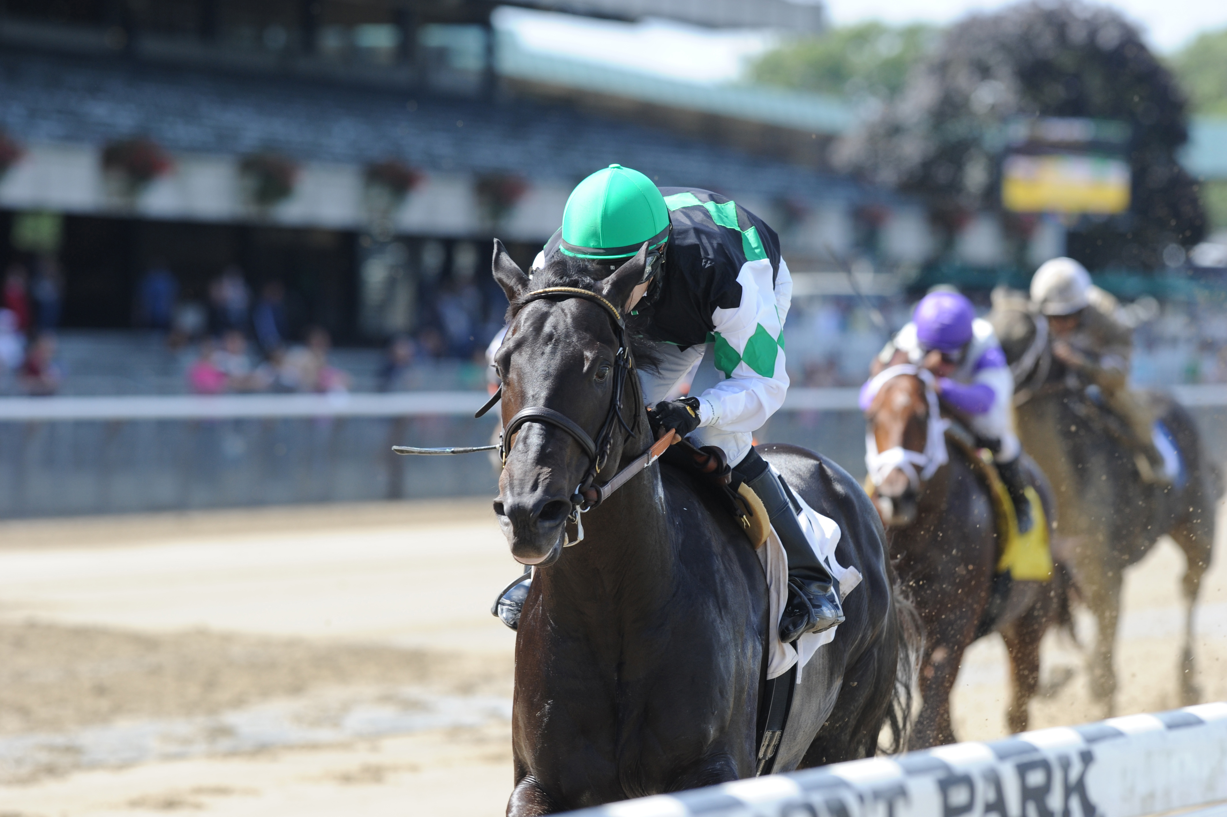 Manhattan Johnnie wins a maiden race