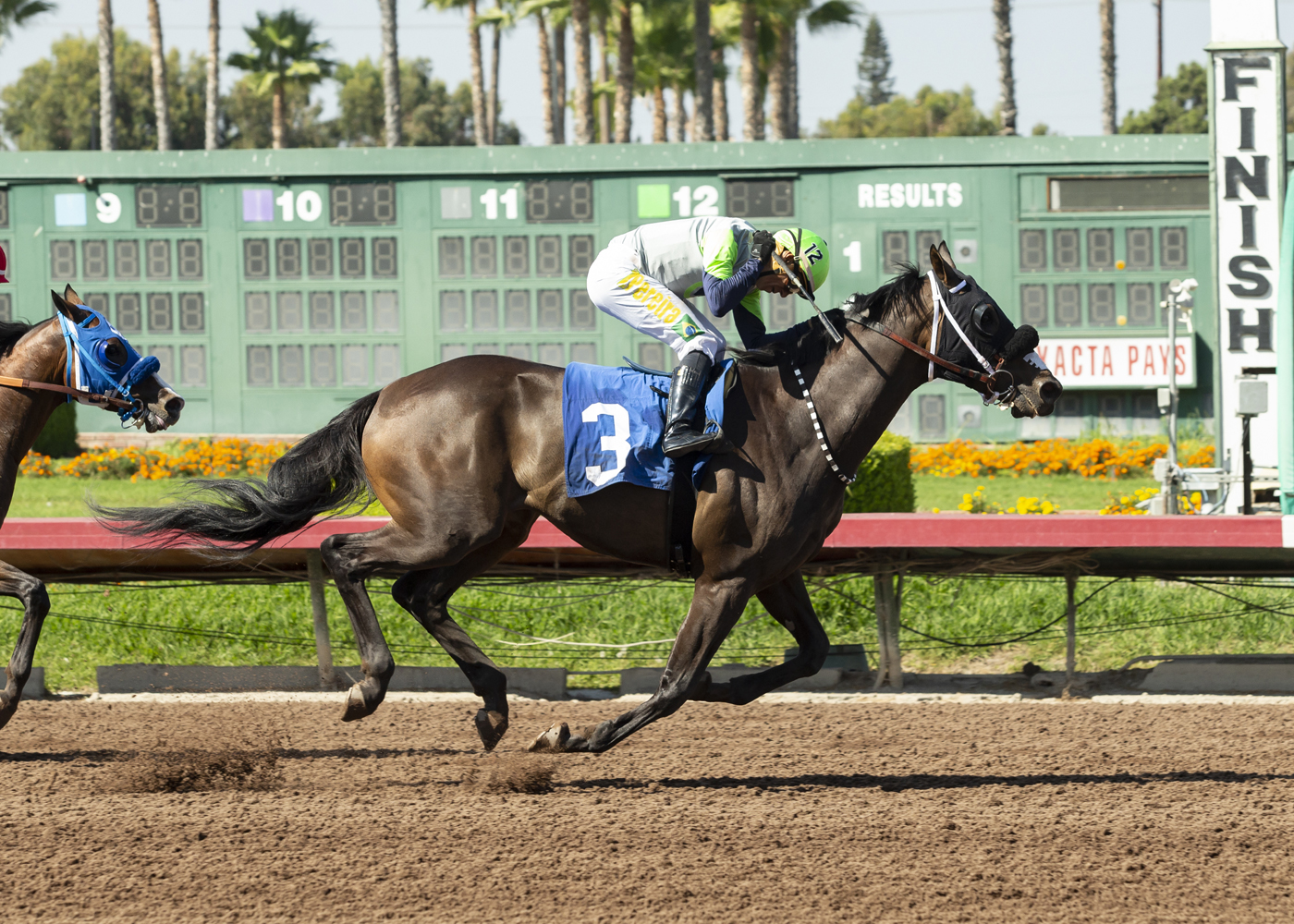 Manhattan Up wins Los Alamitos Special 9-19-2021