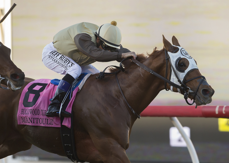 Manitoulin wins the 2017 Hollywood Turf Cup