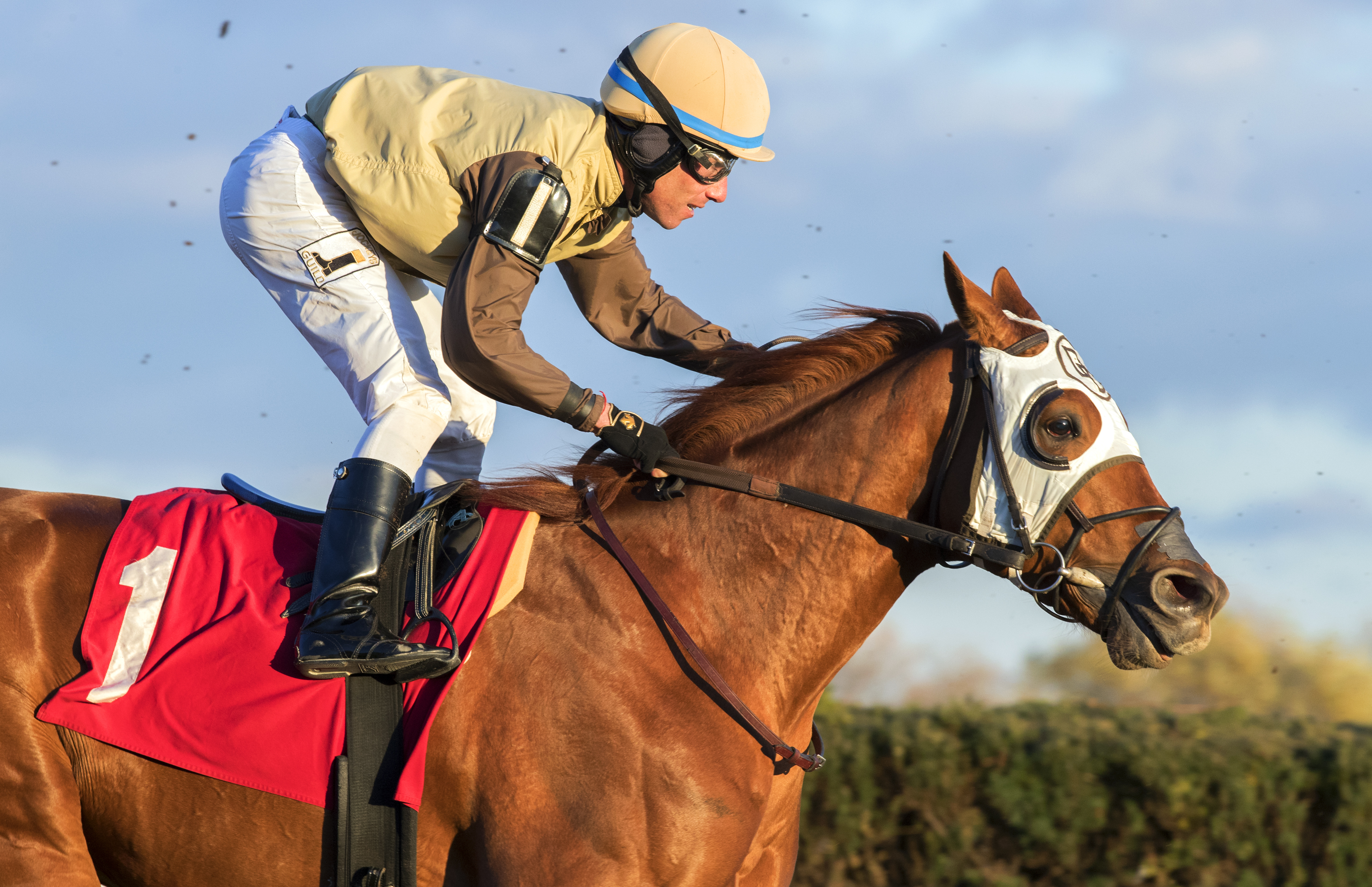 Manitoulin finishes third in a Nov. 26 allowance