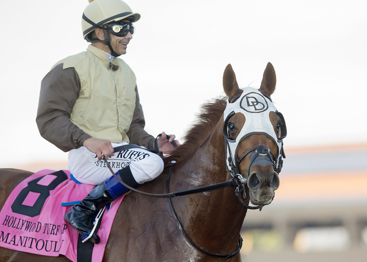 Manitoulin at the Hollywood Turf Cup