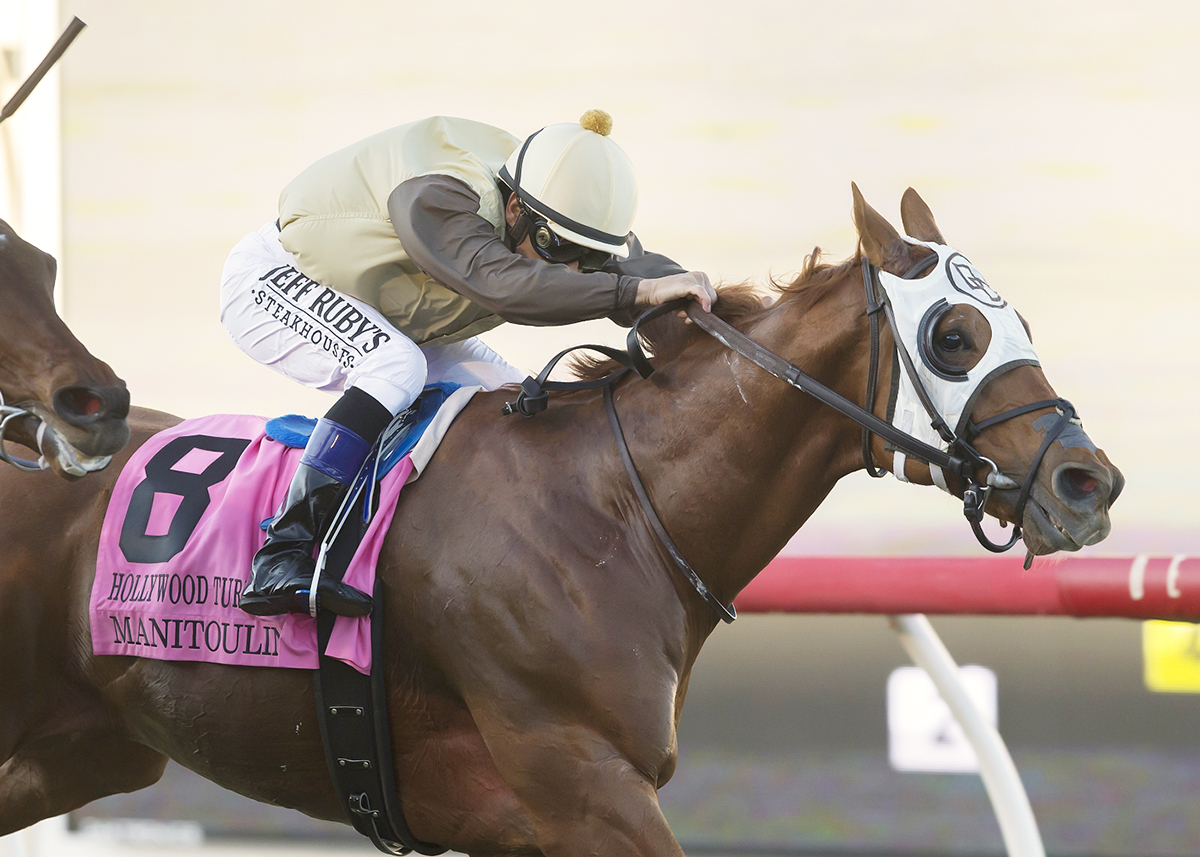 Manitoulin wins the 2017 Hollywood Turf Cup
