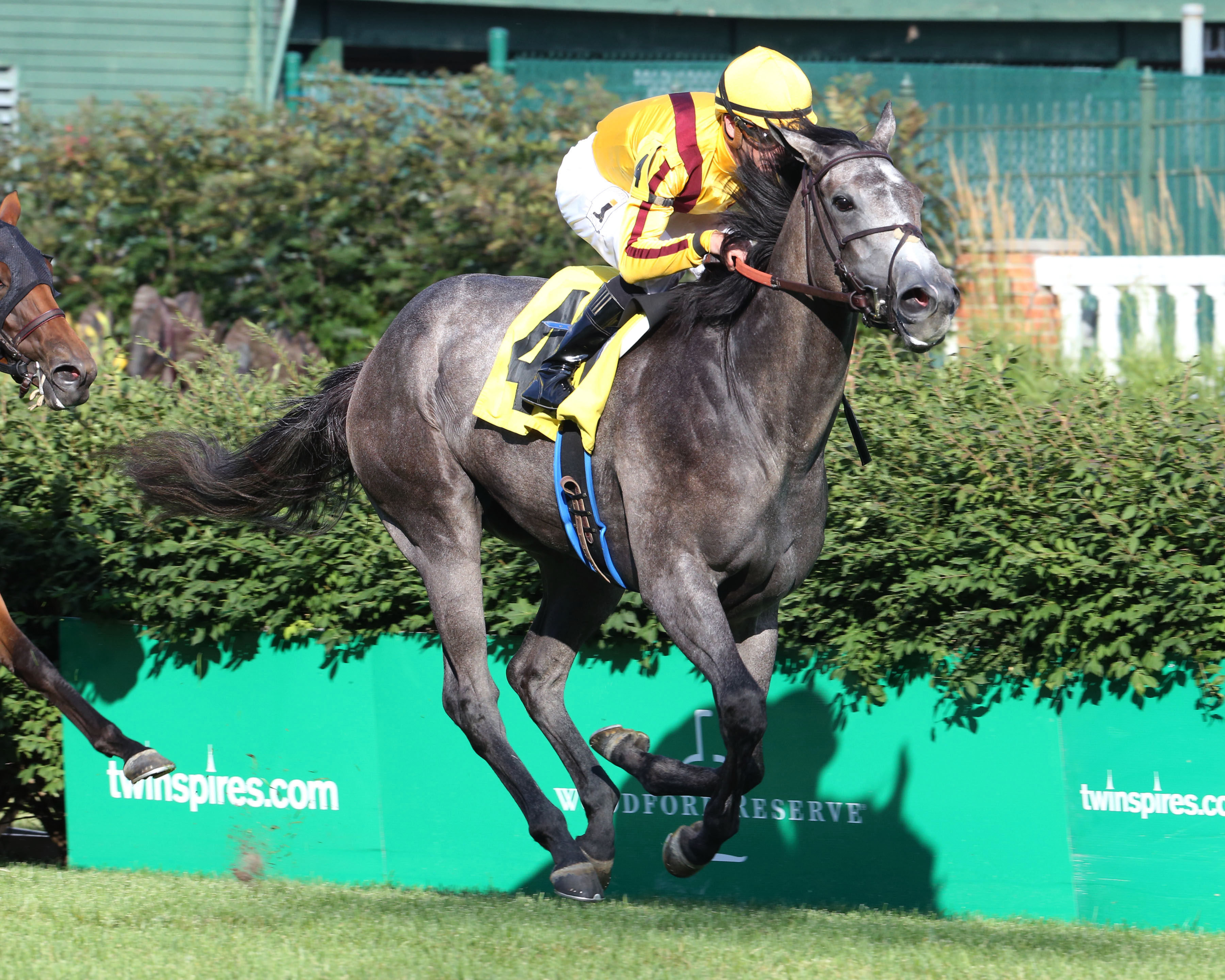 Mannerly wins a June 29 maiden race