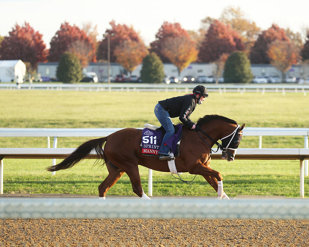Manny Wah trains at Keeneland in November 2020