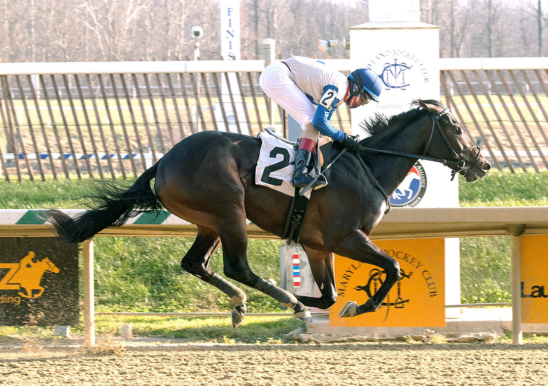 Manor House wins a Dec. 12 maiden race at Laurel Park