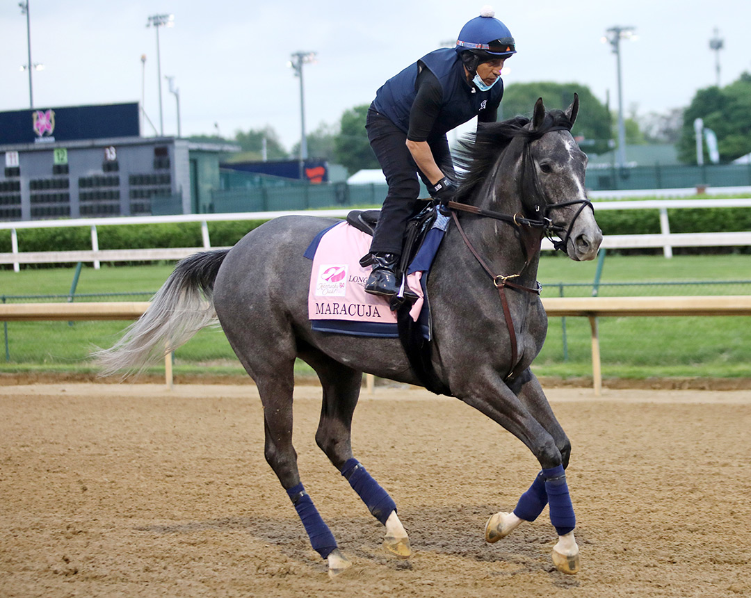 Maracuja trains at Churchill Downs in April 2021