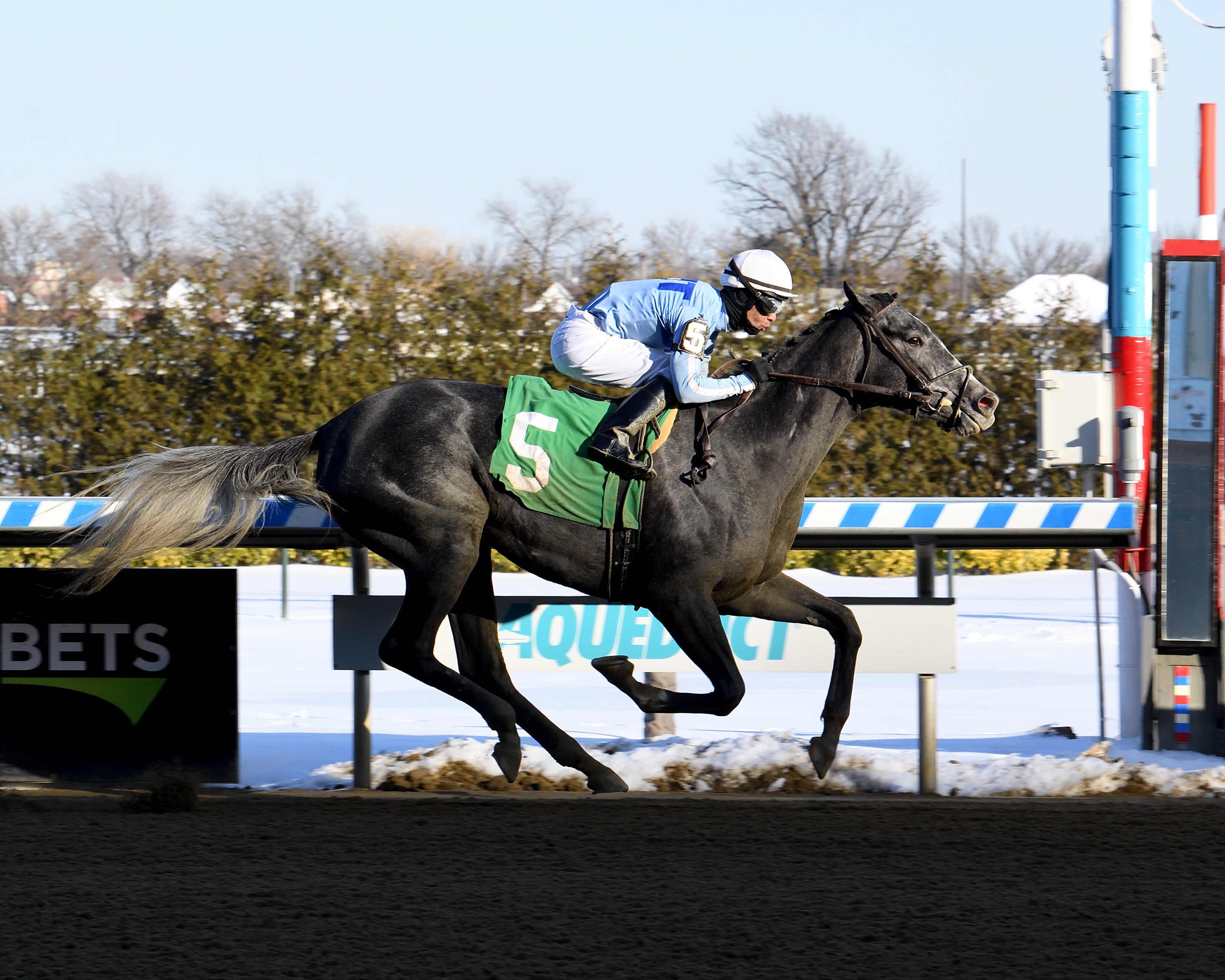 Maracuja wins a Feb. 21 maiden race at Aqueduct Racetrack