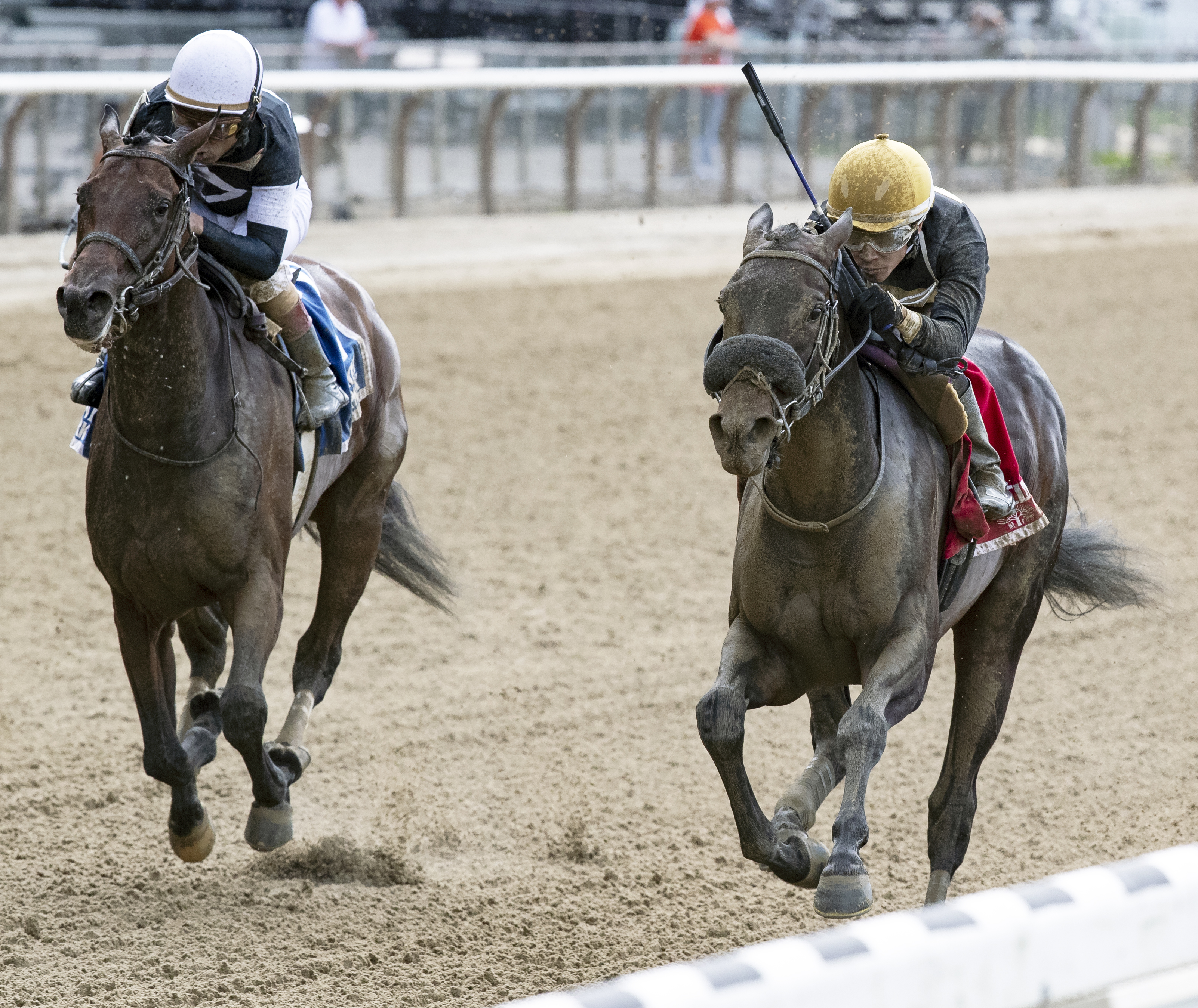 Maryanorginger (inside) wins the 2019 Astoria Stakes