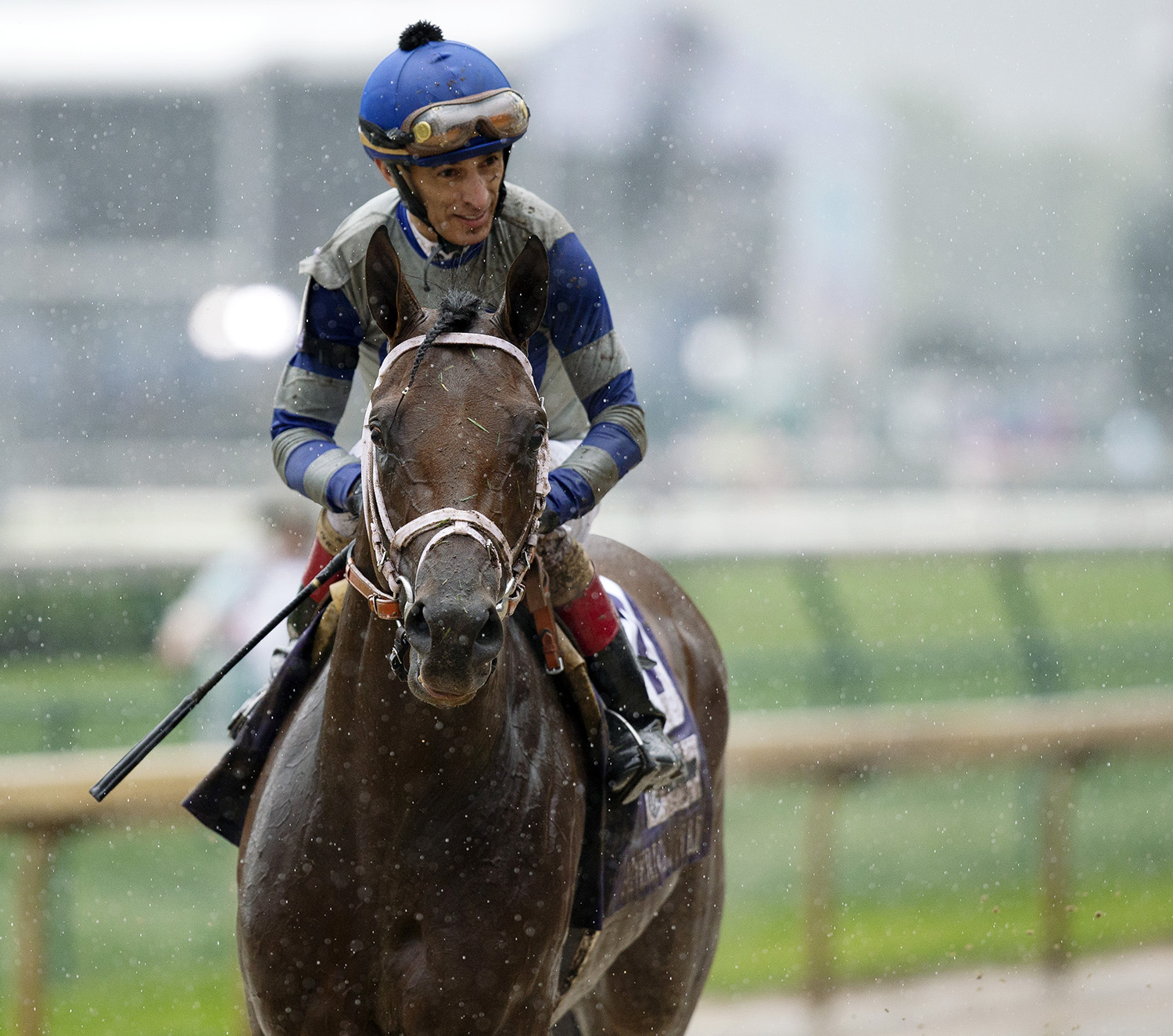 Maraud at the American Turf Stakes at Churchill