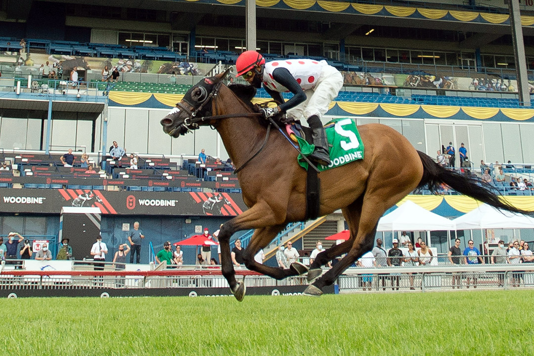 March to the Arch wins the 2021 Niagara Stakes at Woodbine Racetrack