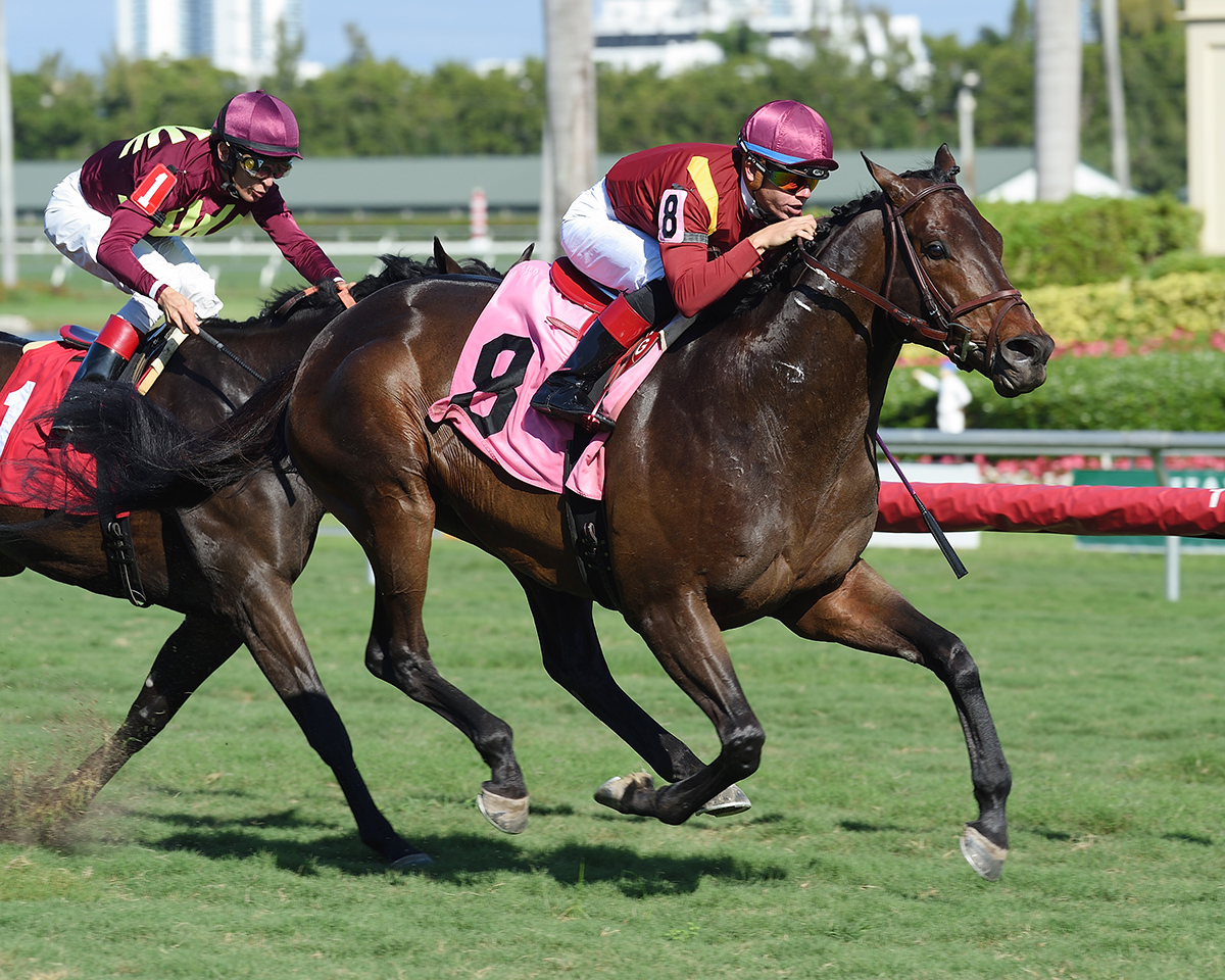 March wins a Dec. 29, 2017 allowance race