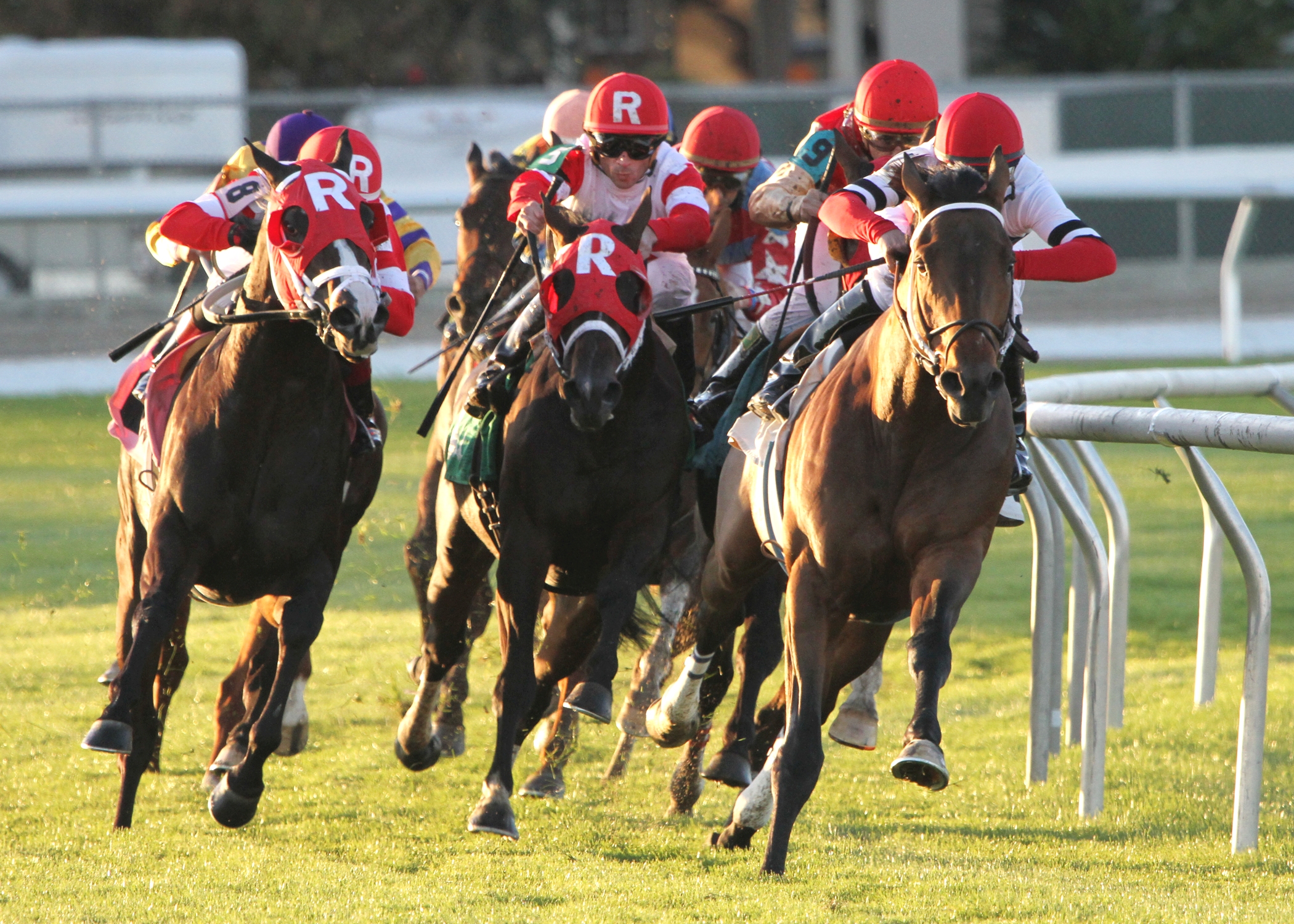 Marchman, Woodchopper Stakes