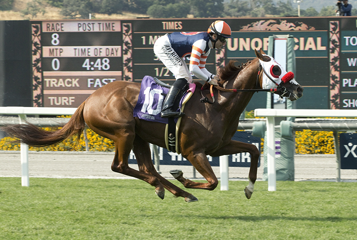 Marckie-s Water wins the 2017 Snow Chief Stakes