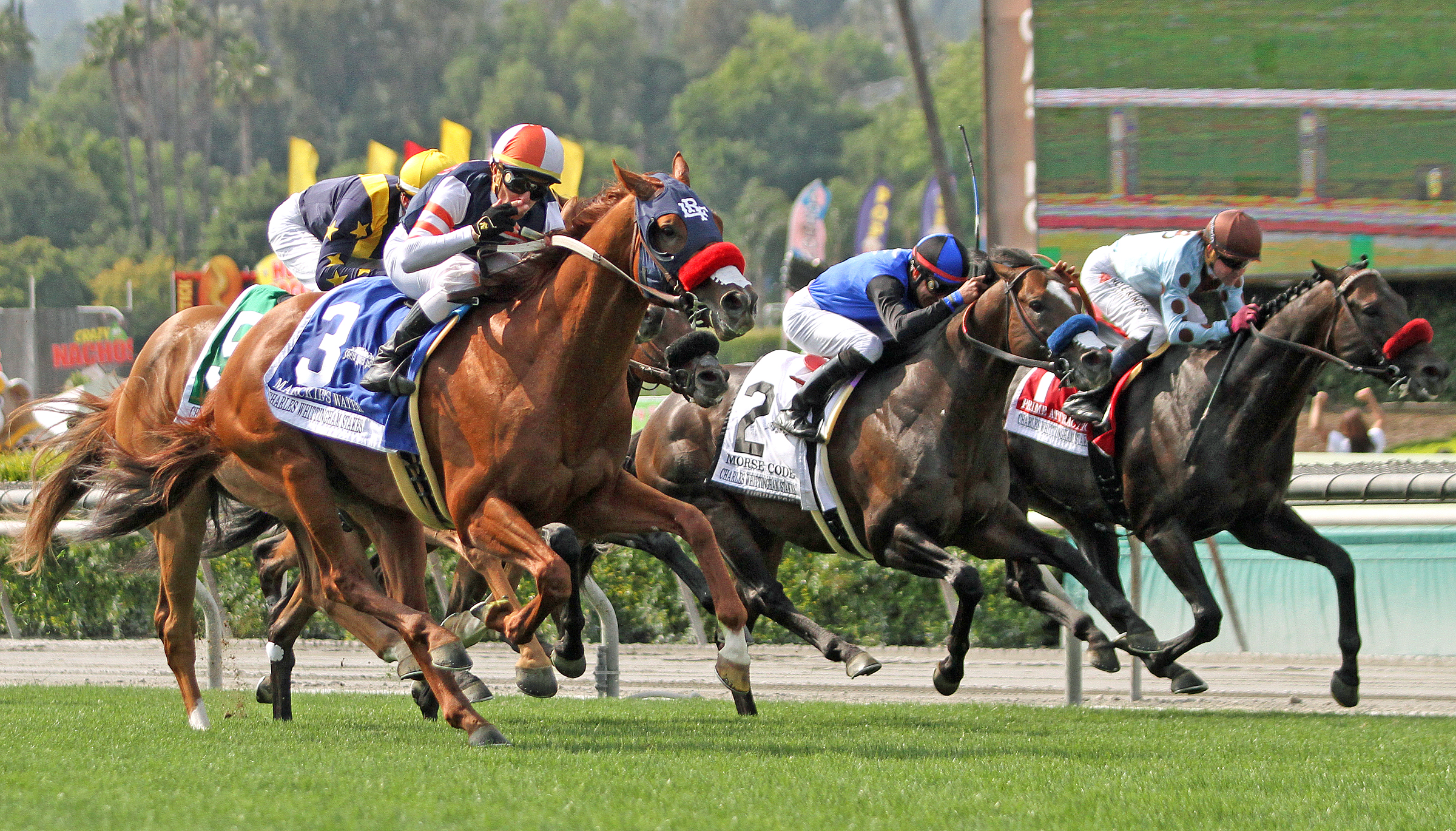 Marckie's Water (left) wins the 2019 Charles Whittingham Stakes