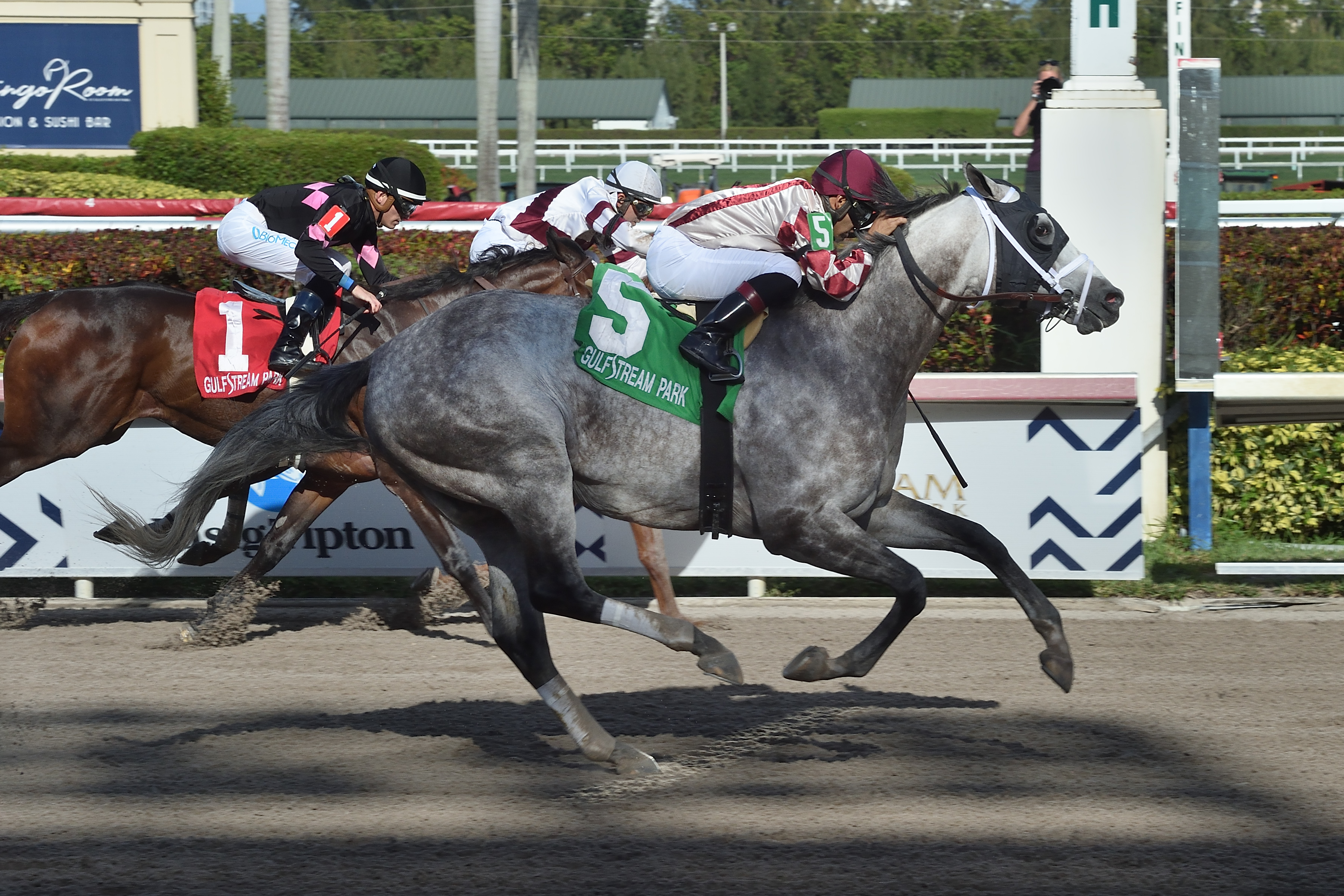 Marconi wins the 2019 Skip Away Stakes