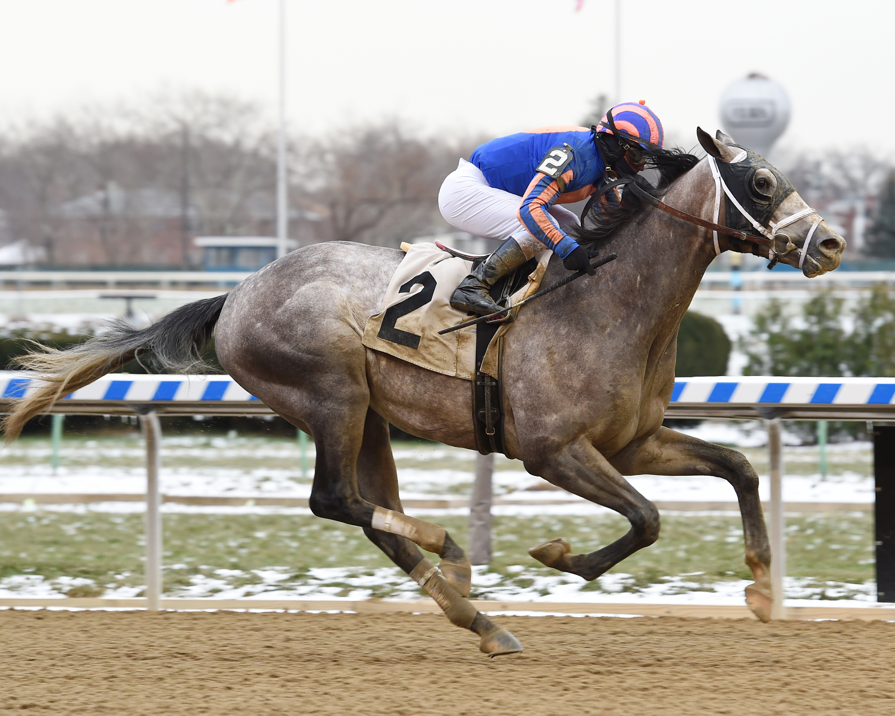 Marconi wins a Dec. 15 maiden race