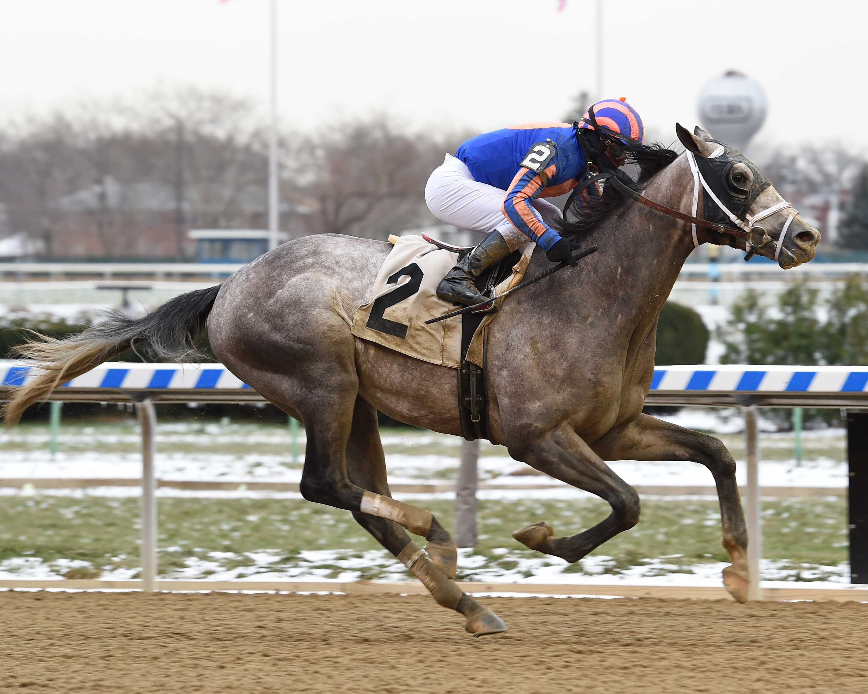 Marconi wins a Dec. 15 maiden race
