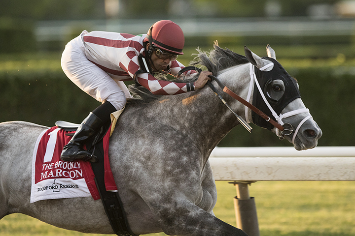 Marconi wins the 2019 Brooklyn