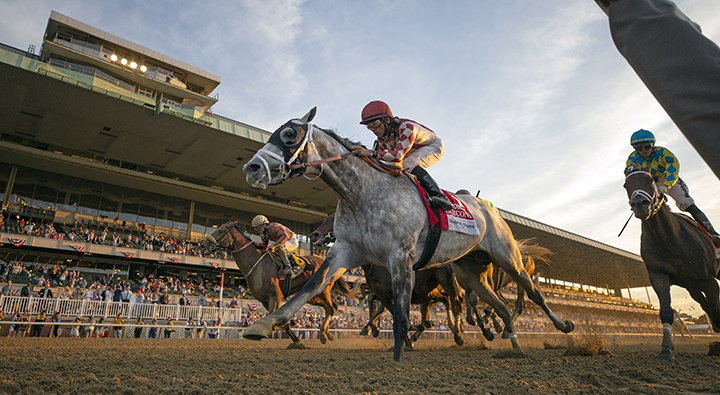 Marconi wins the 2019 Brooklyn Stakes at Belmont Park