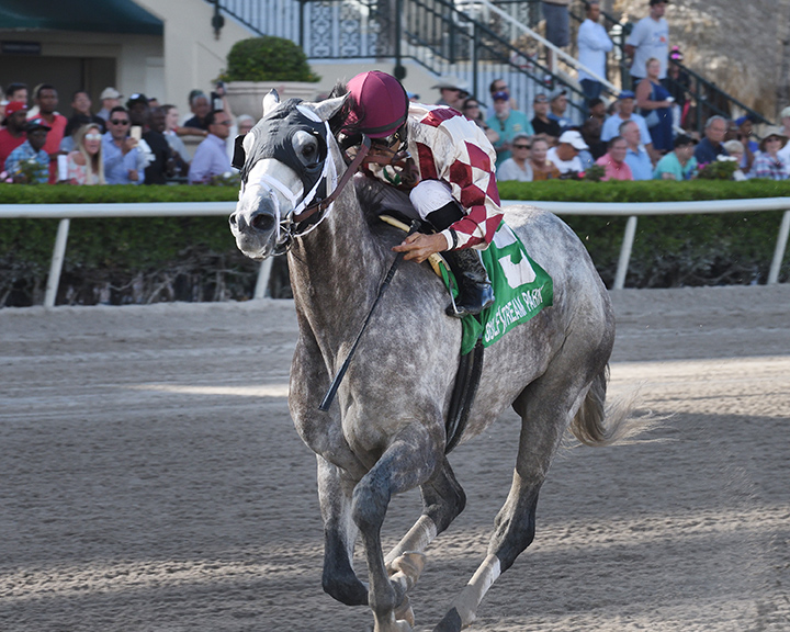 Marconi wins the 2019 Skip Away Stakes