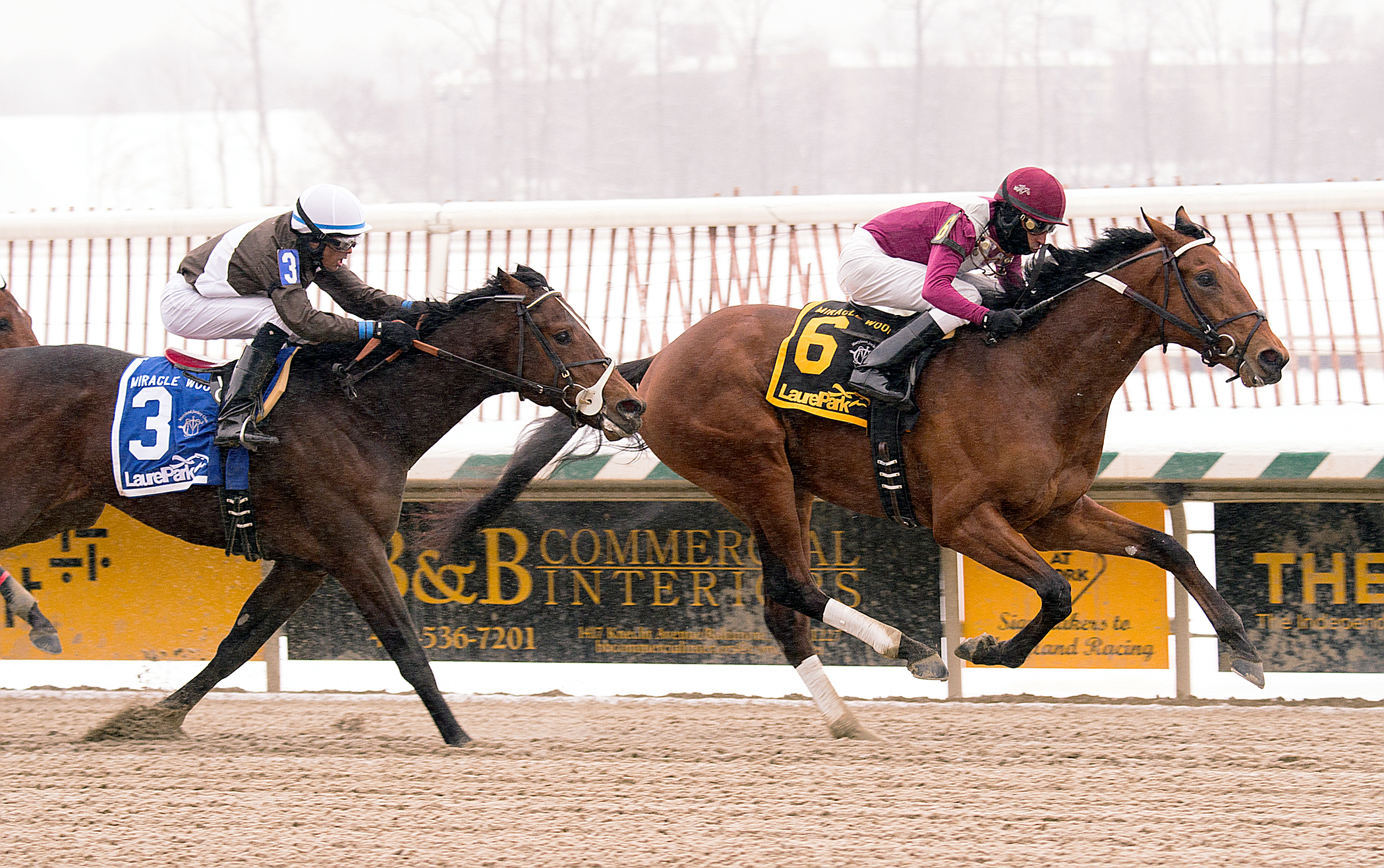 Marengo Road wins the Miracle Wood Stakes