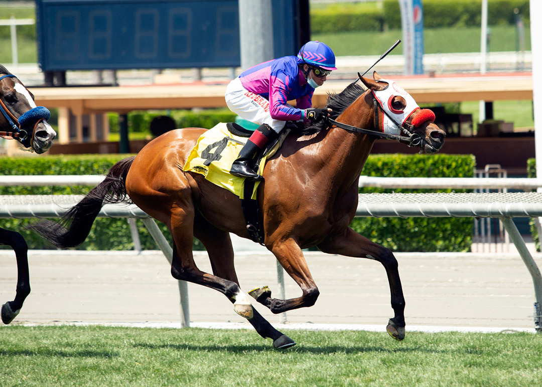 Margot's Boy wins a May 23 allowance optional claimer at Santa Anita