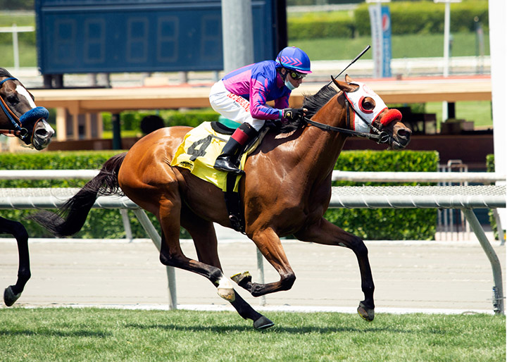 Margot's Boy wins a May 23 allowance optional claimer at Santa Anita