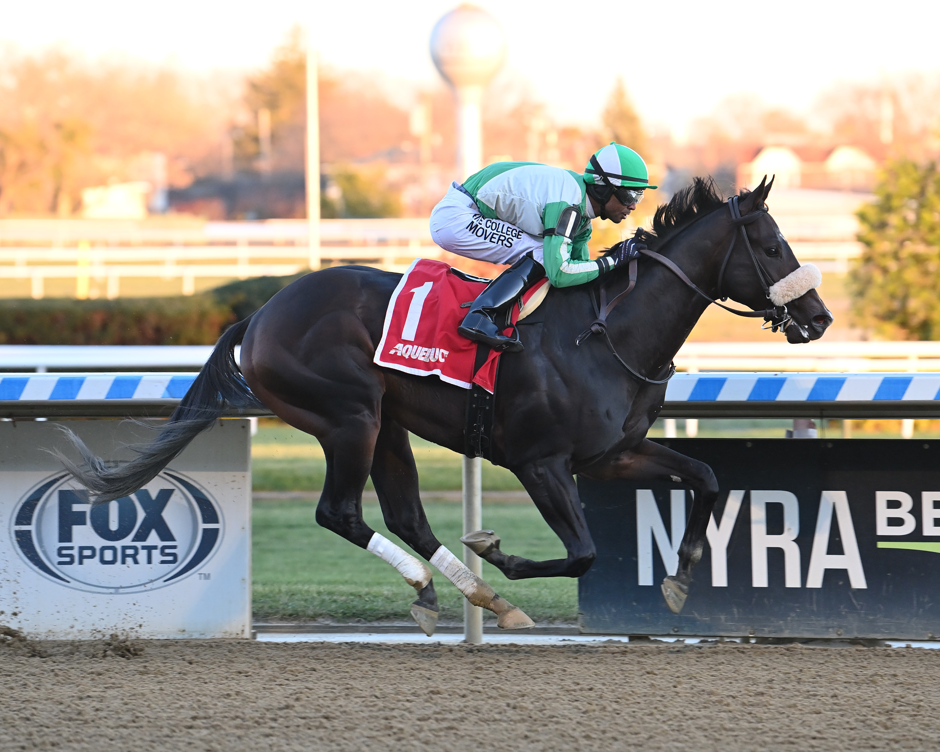Mariachi wins a NY-bred maiden race at AQU Nov 26 2022