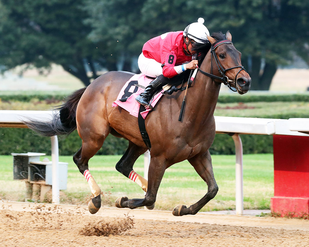 Mariah's Princess wins the 2021 Mistletoe Stakes at Oaklawn