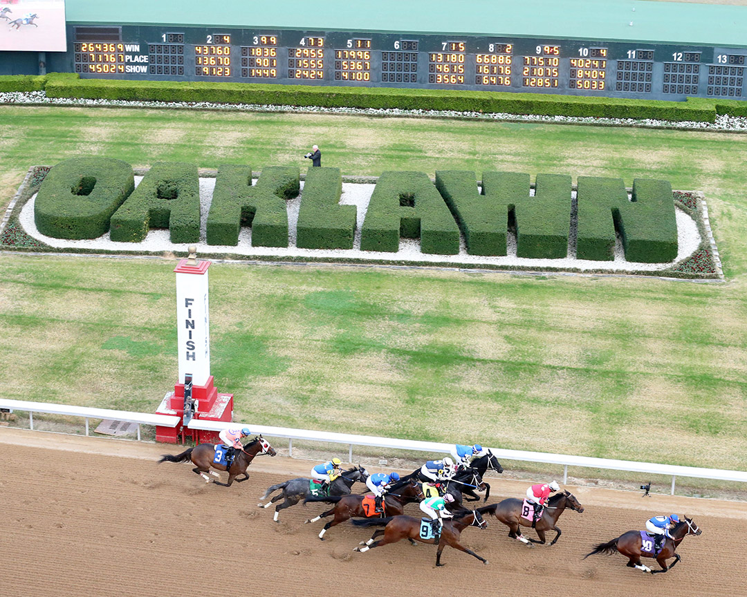 Dirt racing at Oaklawn Park, December 2021