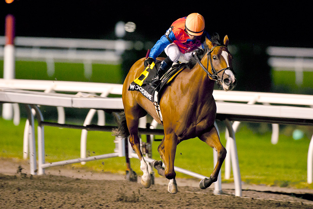 Marie MacKay wins the 2021 Shady Well Stakes at Woodbine